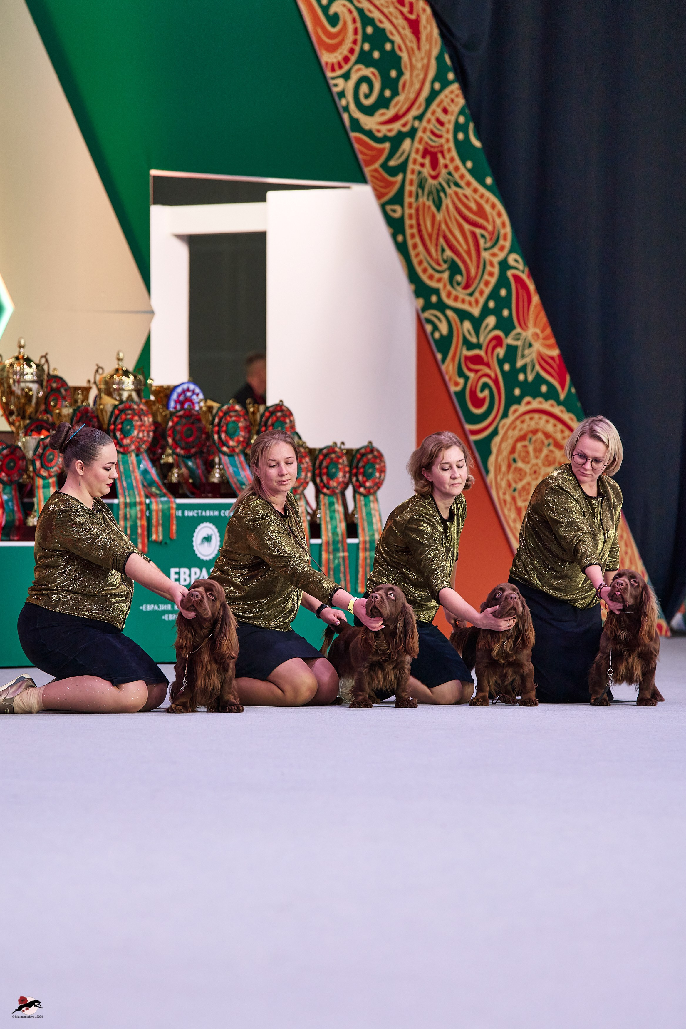 17.11.2024 «ЕВРАЗИЯ. КУБОК СНГ 2024»