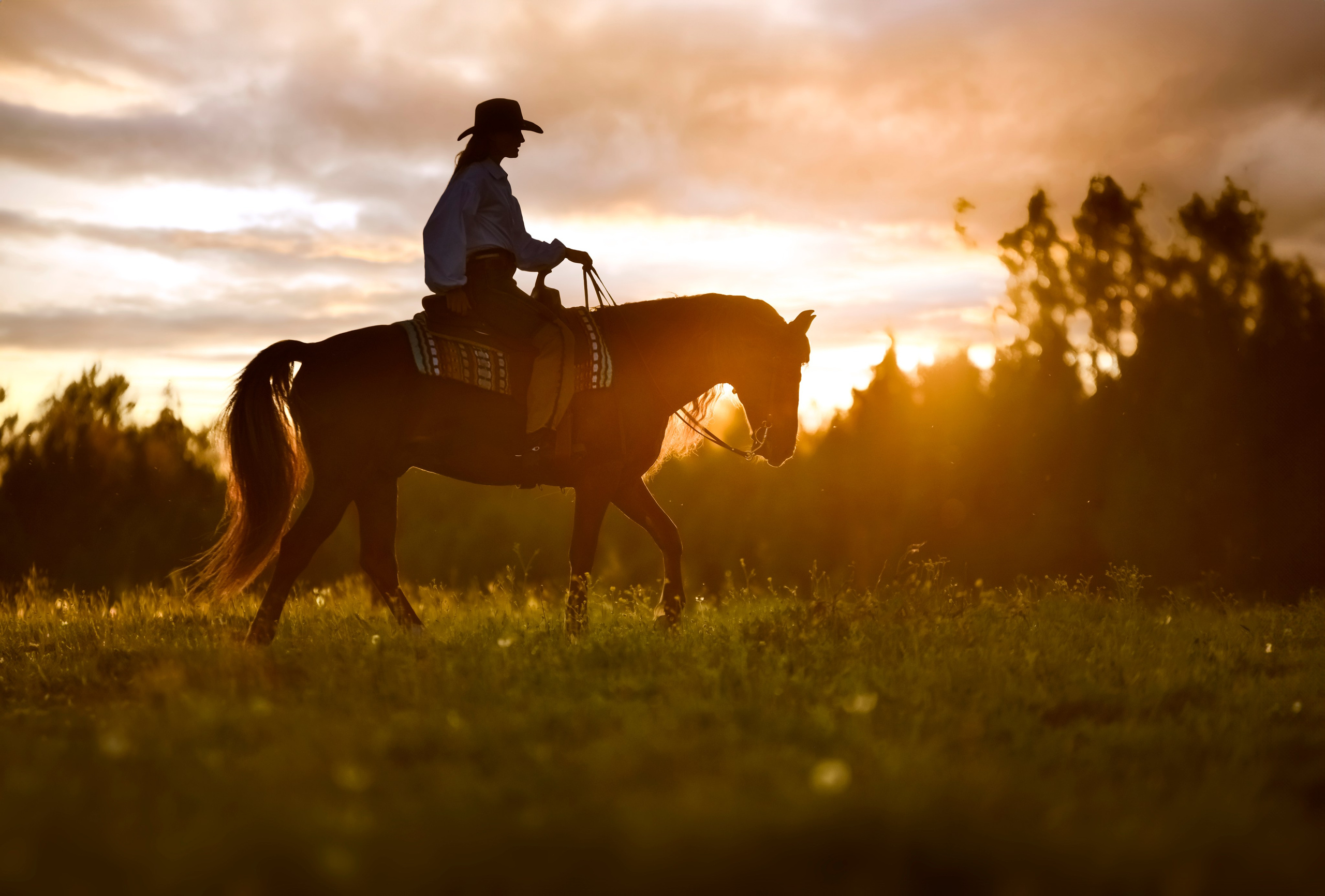 Съемки с лошадьми. Конный фотограф из Москвы Ирина Бондаркова