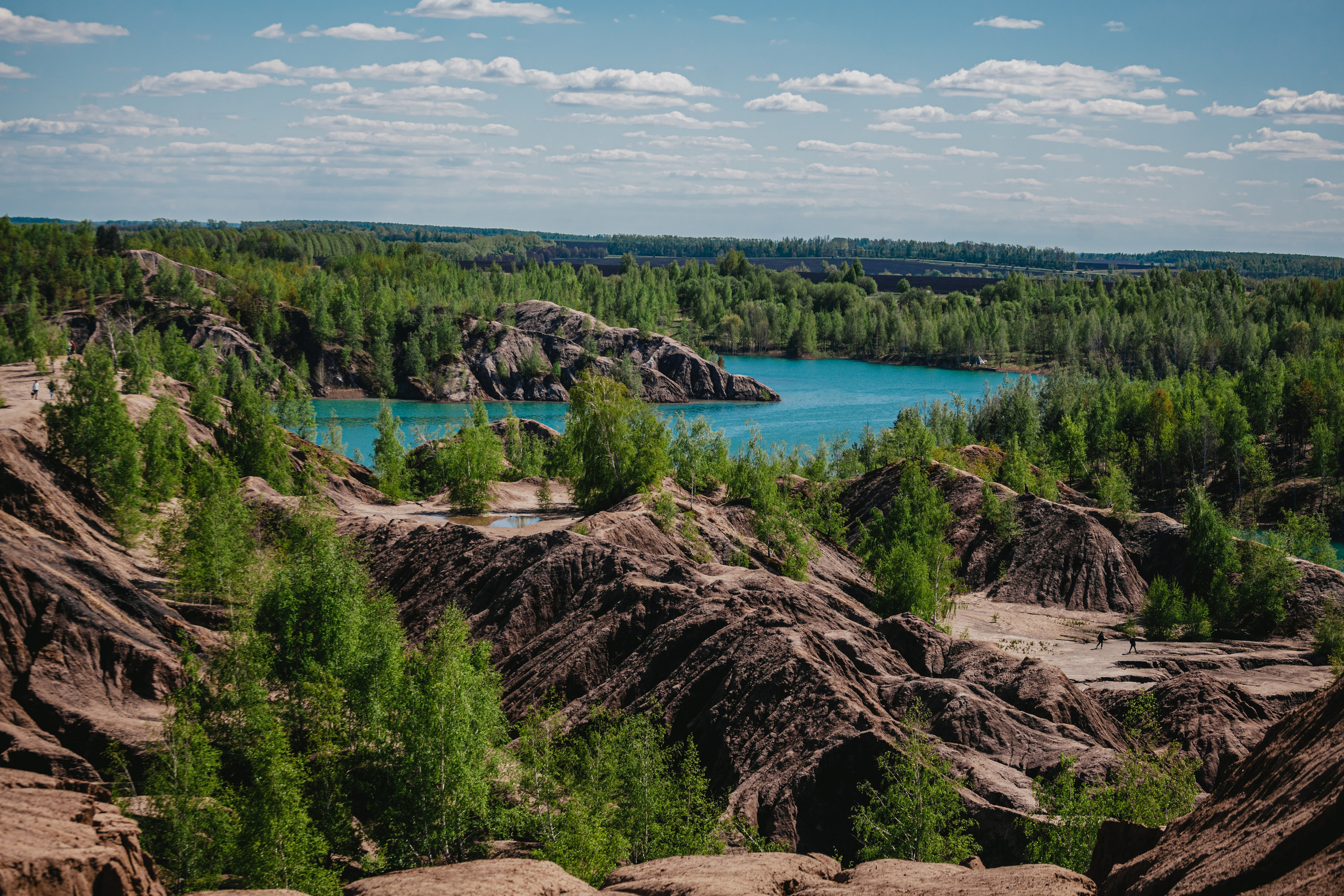 Кондуки. Фотограф-анималист Татьяна Степанова