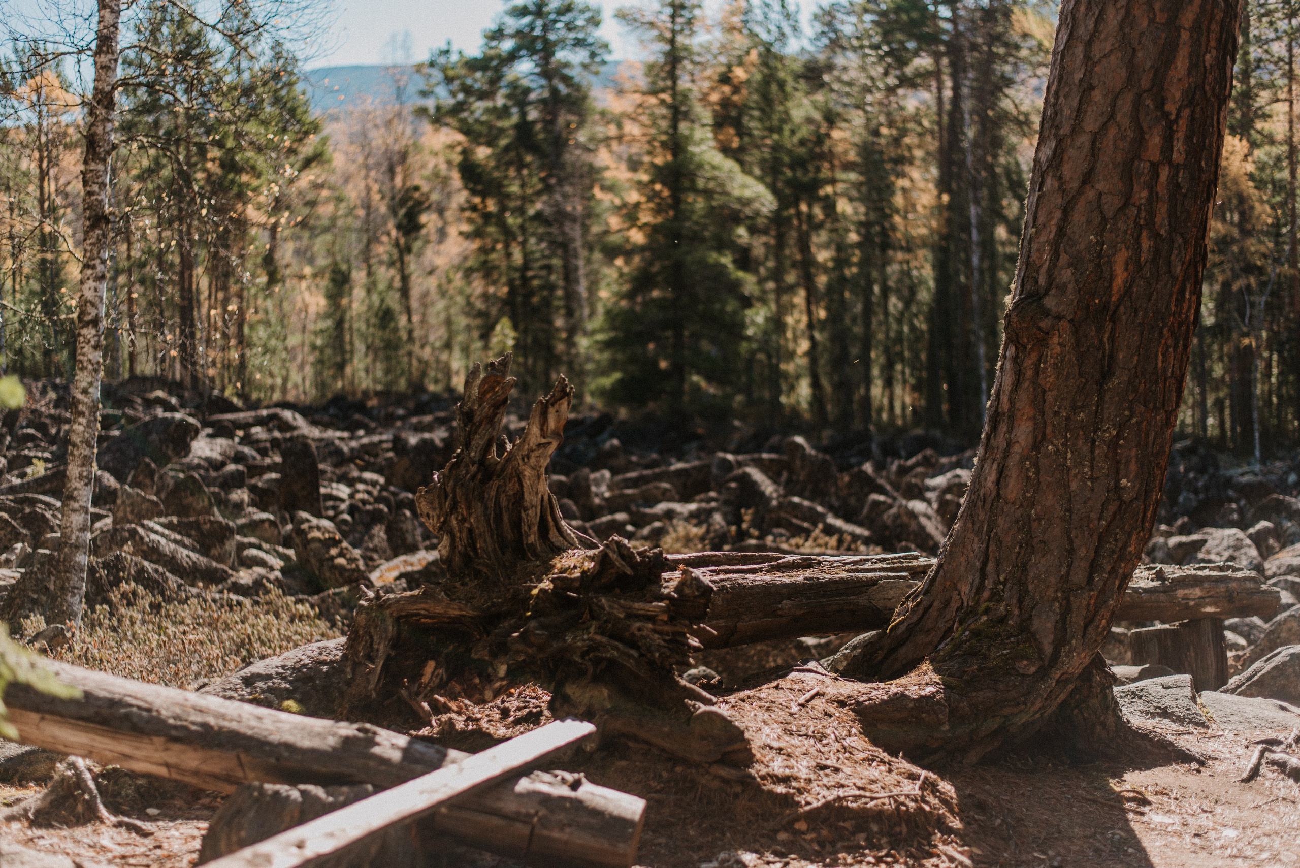 Кутурчины. Свадебный и семейный фотограф в Красноярске Наталья Дроздова