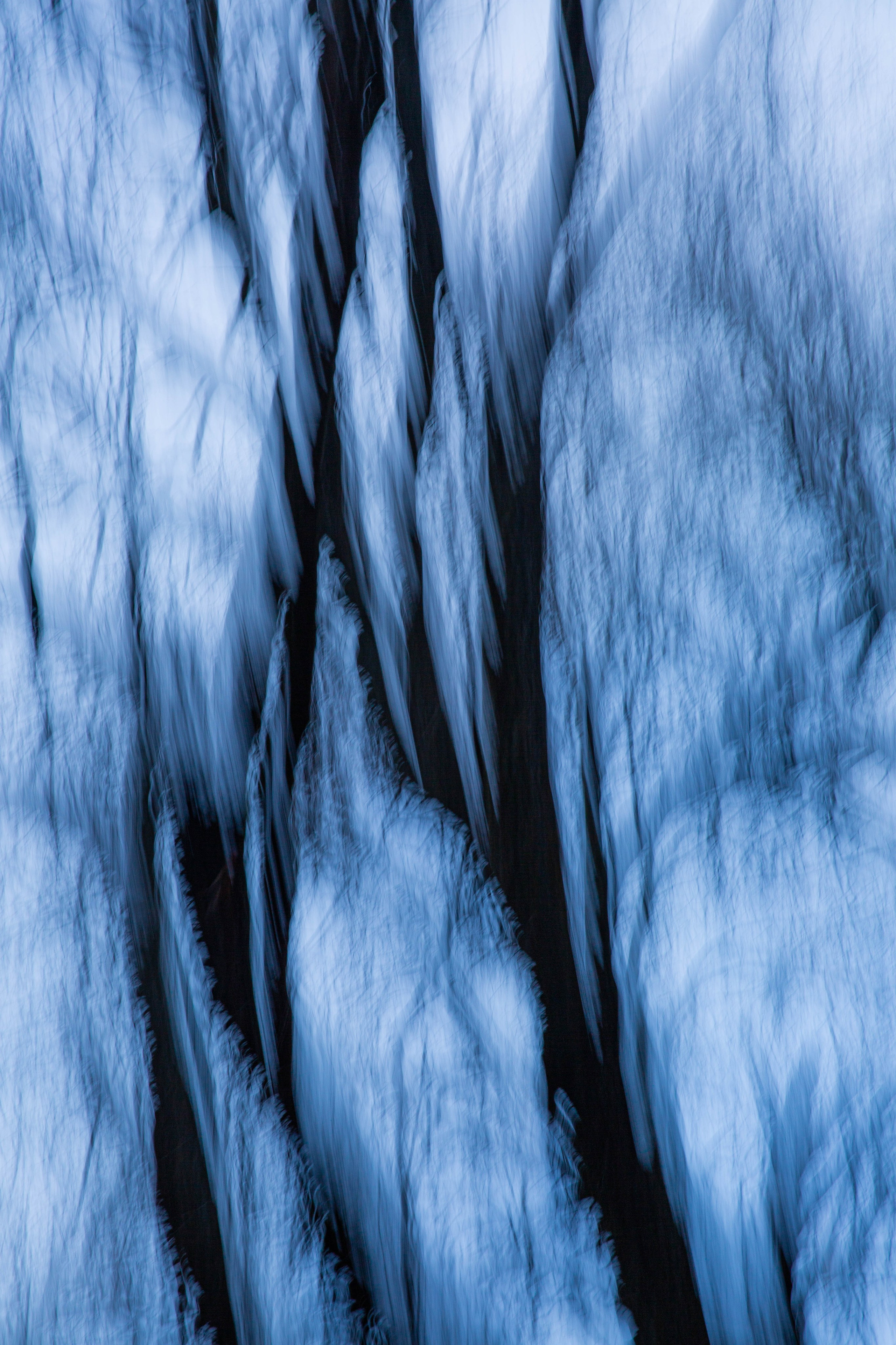 ИГГДРАСИЛЬ, 2025-2026. АННА ВЕРСО / ANNA VERSO | Визуальный художник / Visual artist