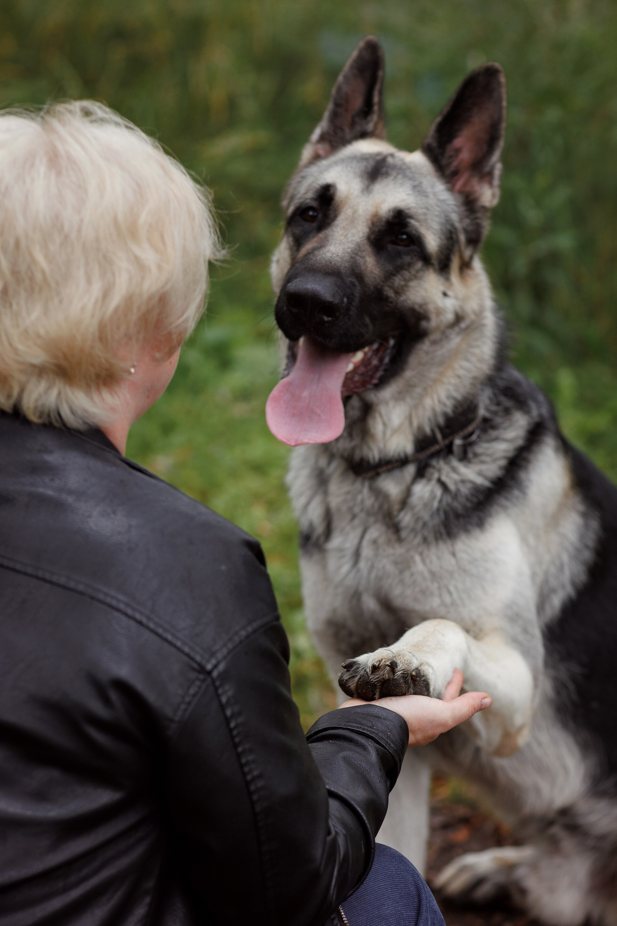 Оксана И Норд. Фотограф — Анималист Наталья Тямушева
