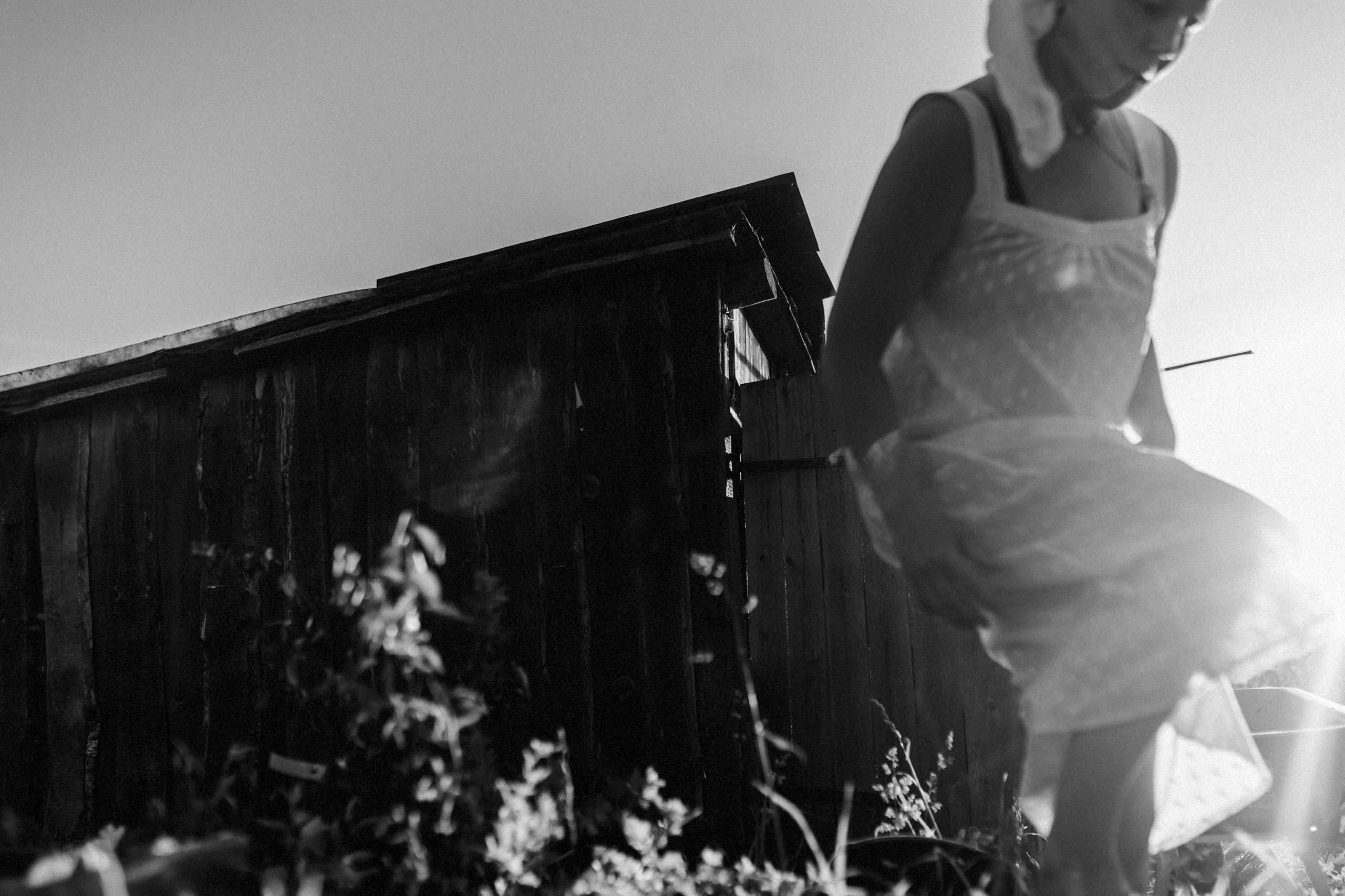 Один день в деревне