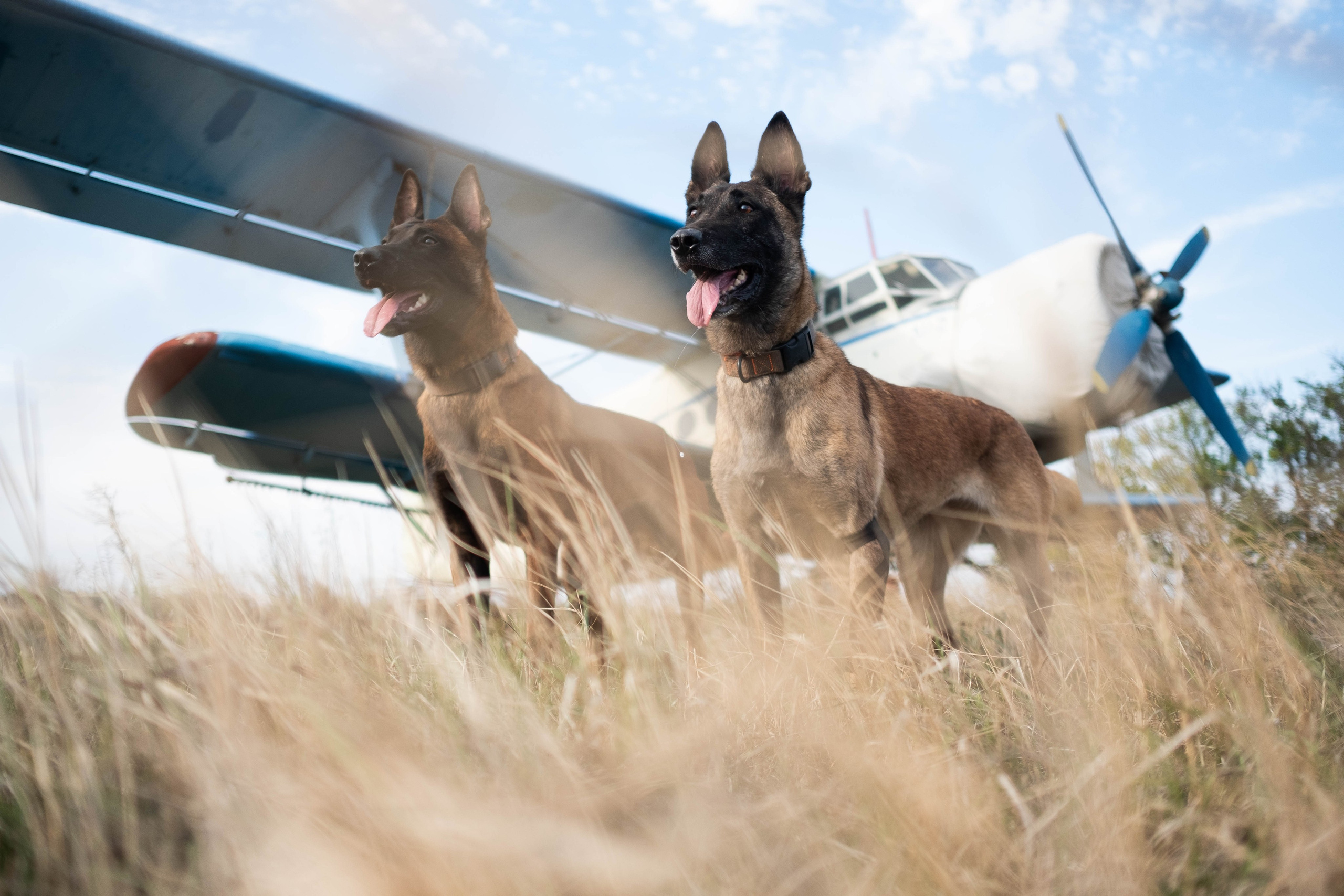 Репортажный и портетный фотограф в Краснодарском крае Николай Хижняк