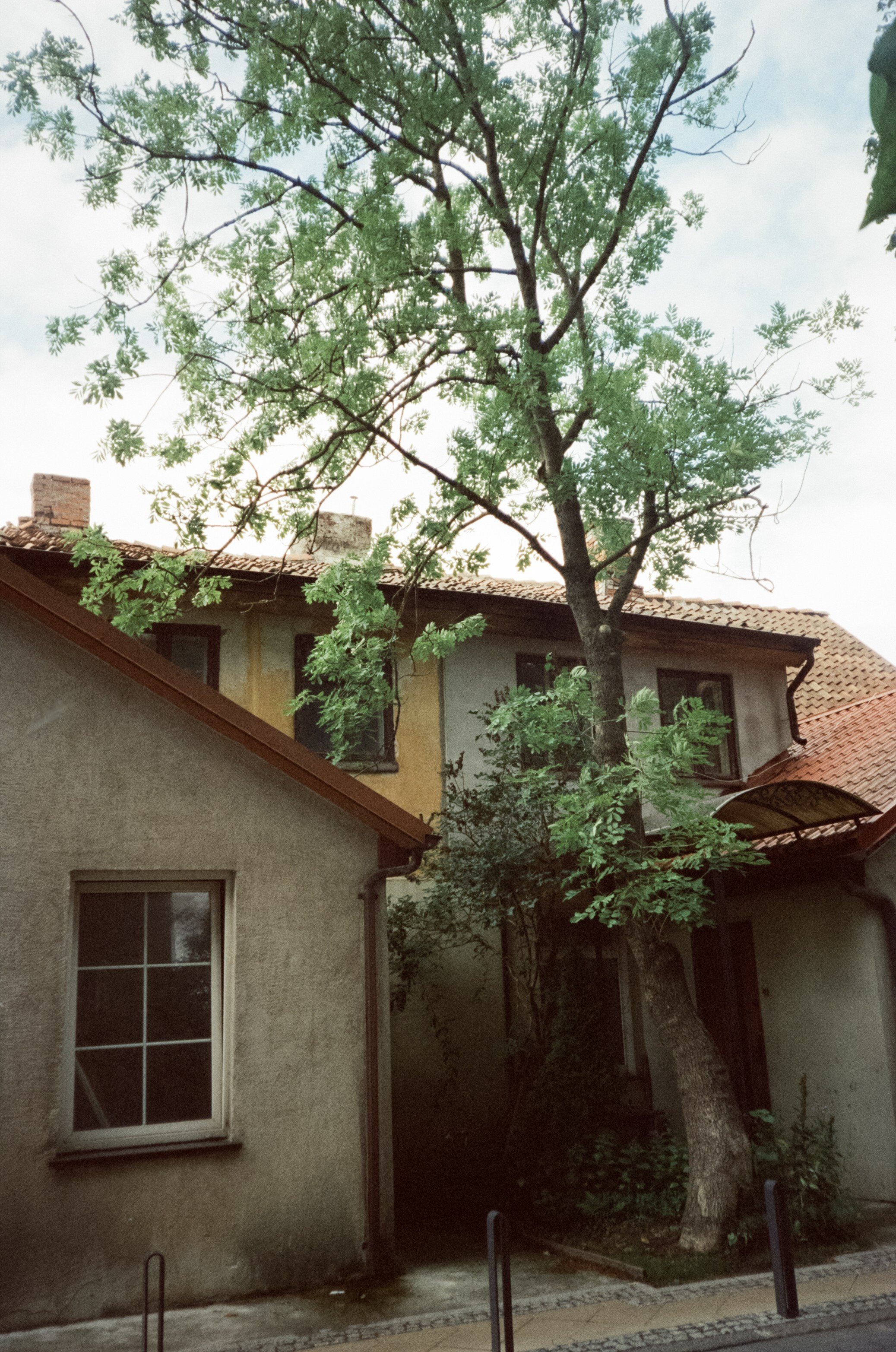 Прогулка по улочкам и дворикам Зеленорадска. Фотограф-документалист Мария Осокина