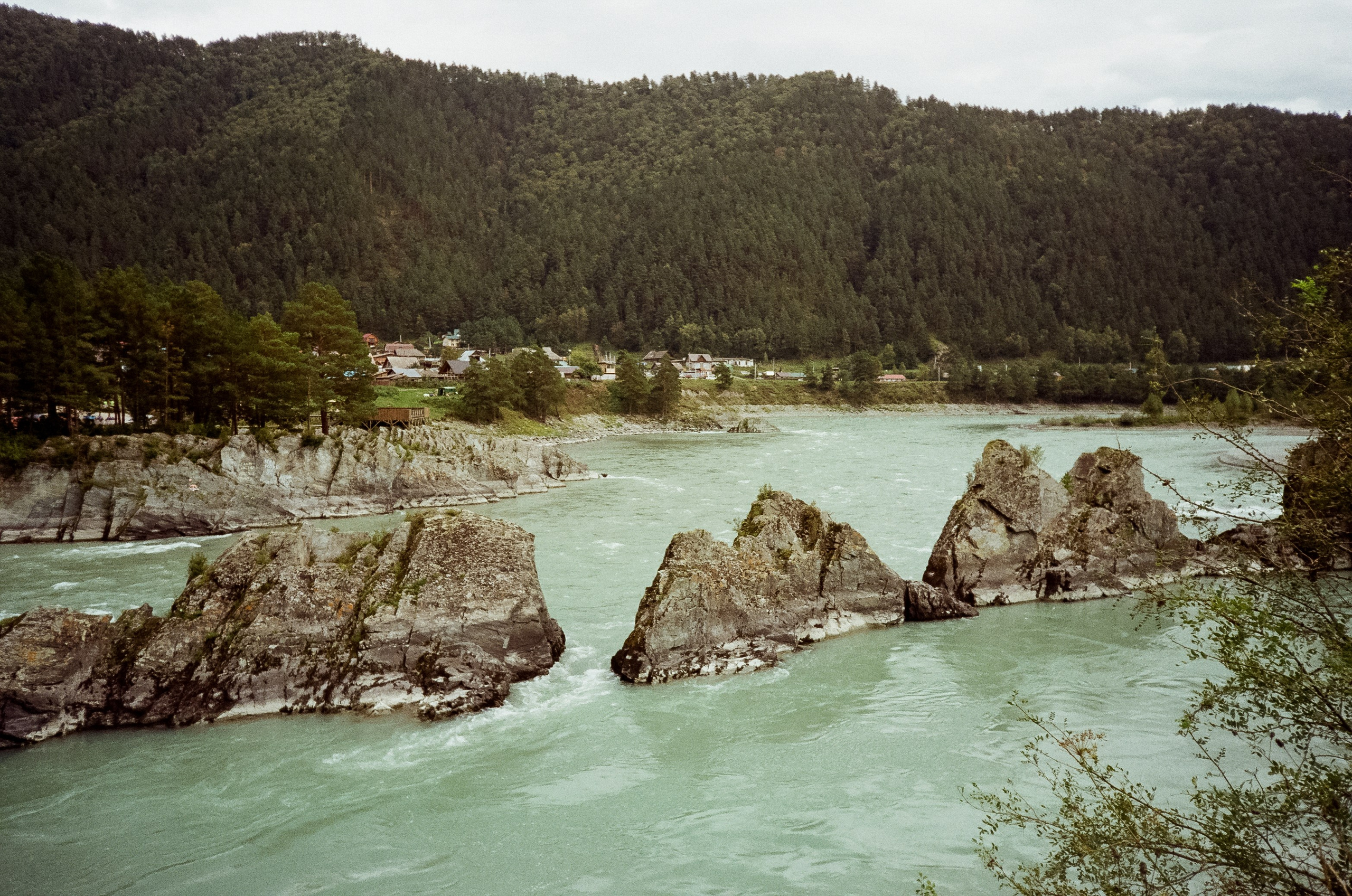 Зубы Дракона и солнечный подарок. Сад пионов. Фотограф-документалист Мария Осокина