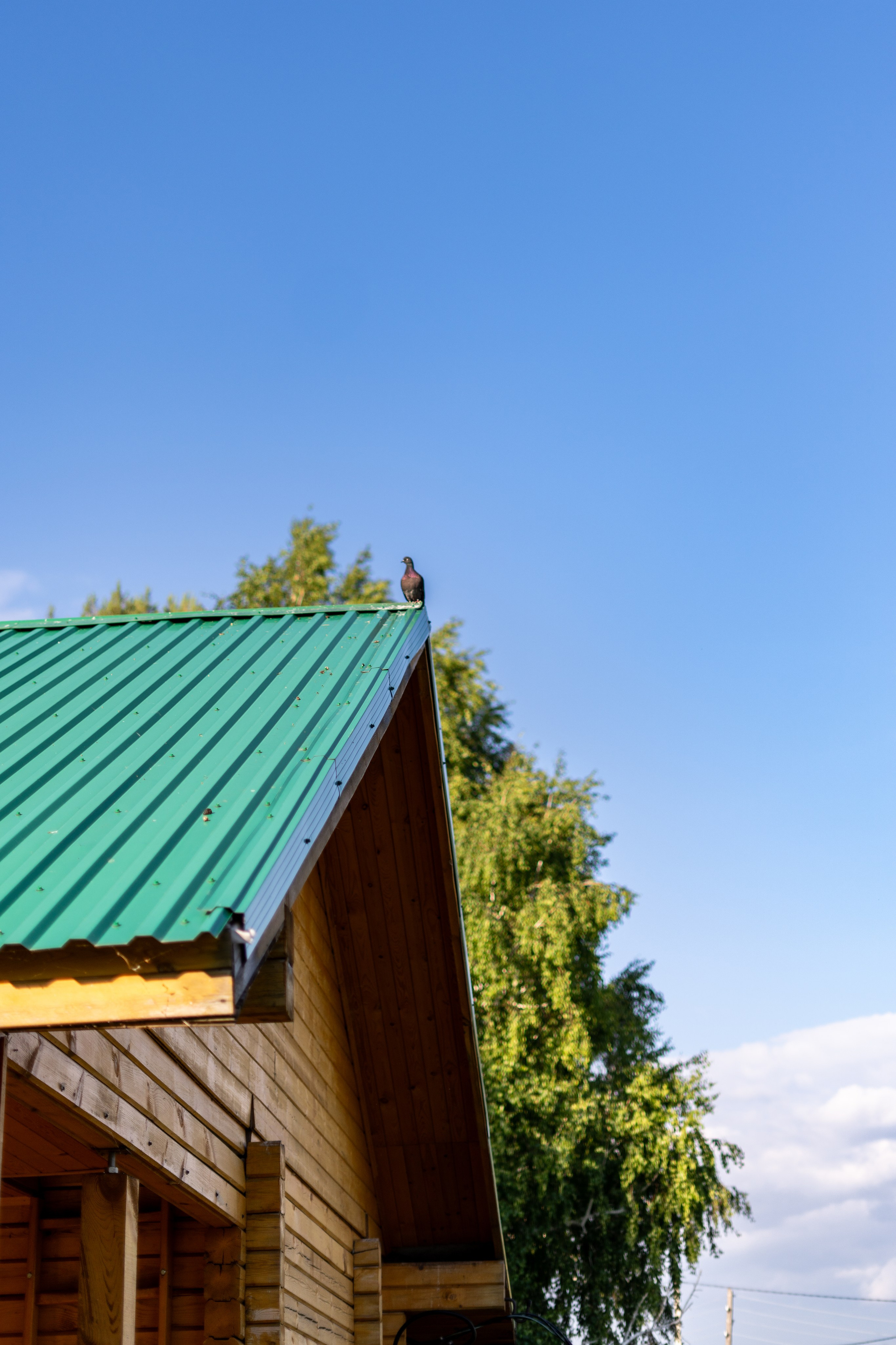 Полянка. Анастасия Паршукова — фотограф Шерегеш Новосибирск