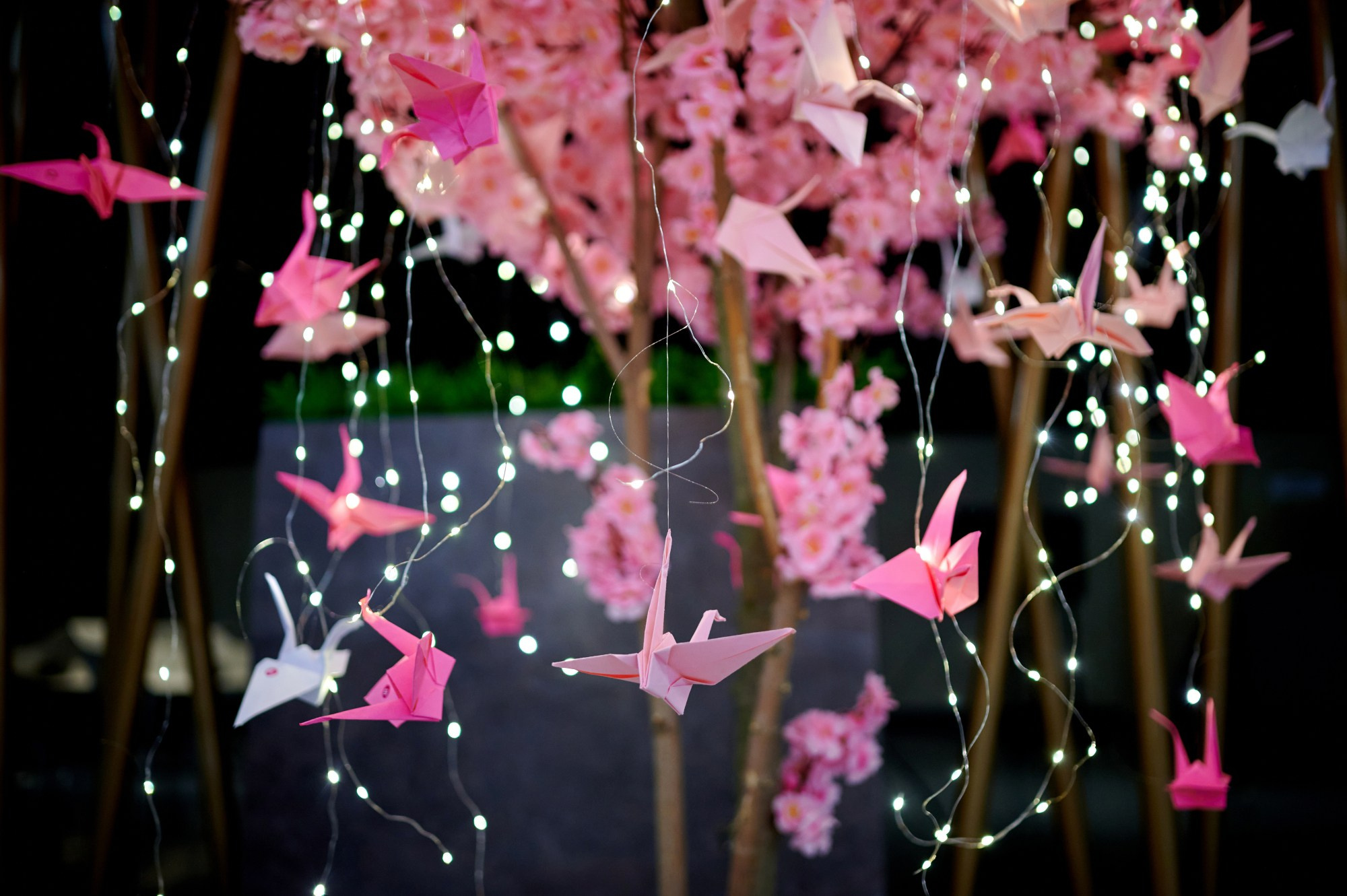 Магнит Косметик — конкурс «Золотой Магазин». Мезенцев Евгений фотограф