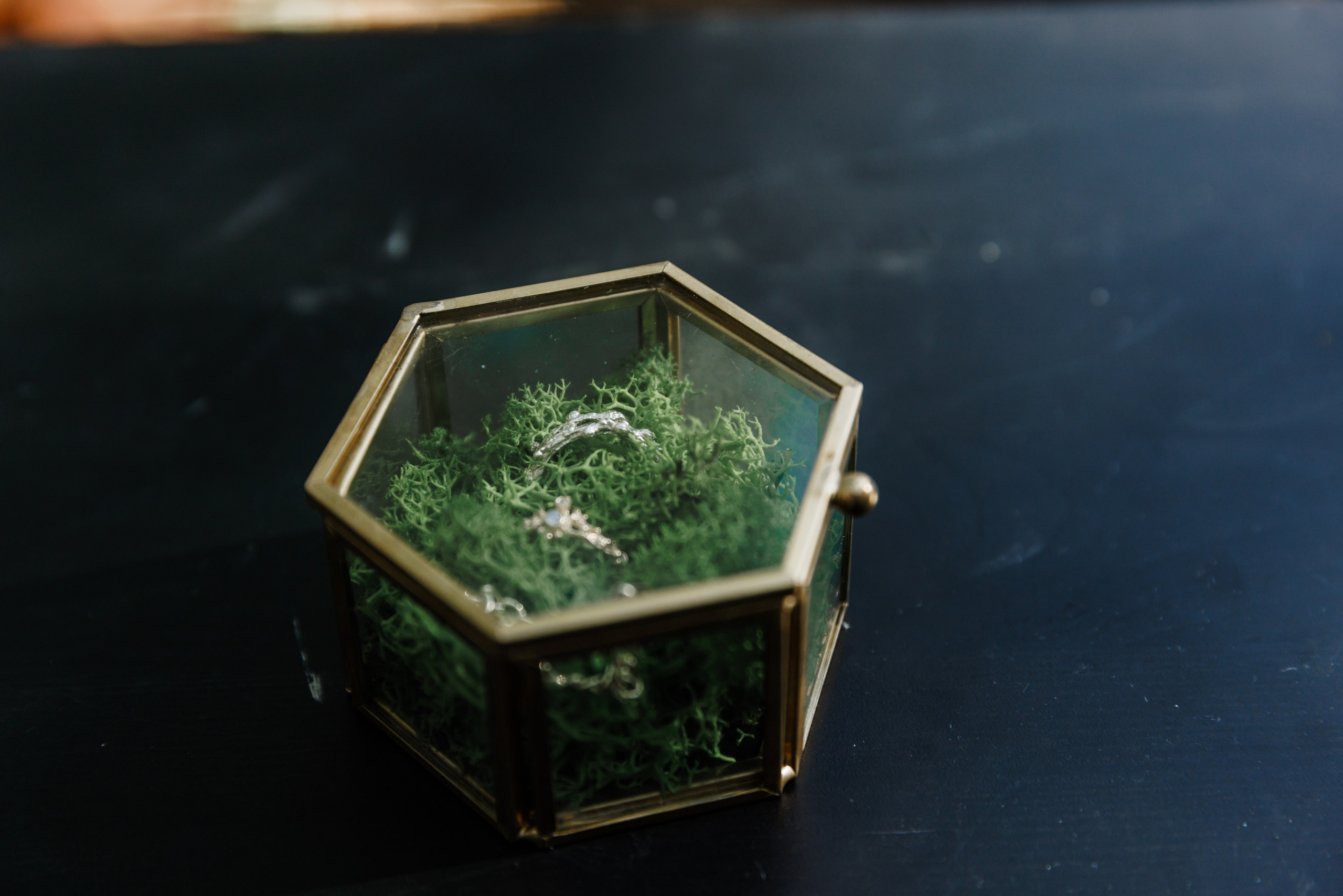 Татьяна и Владимир. Фотограф Москва Шептаев Артём