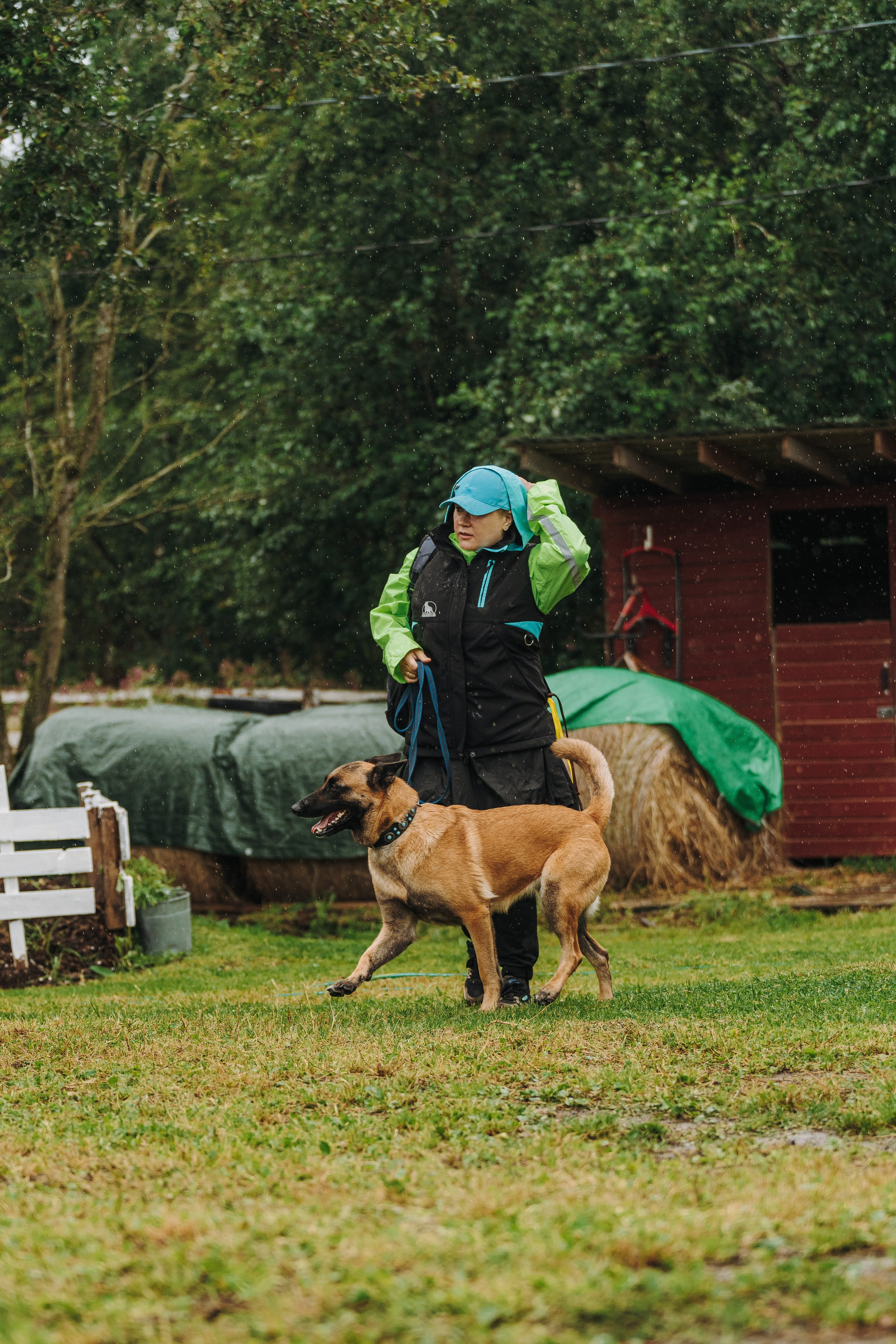 Соревнования по ноузворку в Новожилово. Фотограф анималист в Спб недорого Олеся Майорова