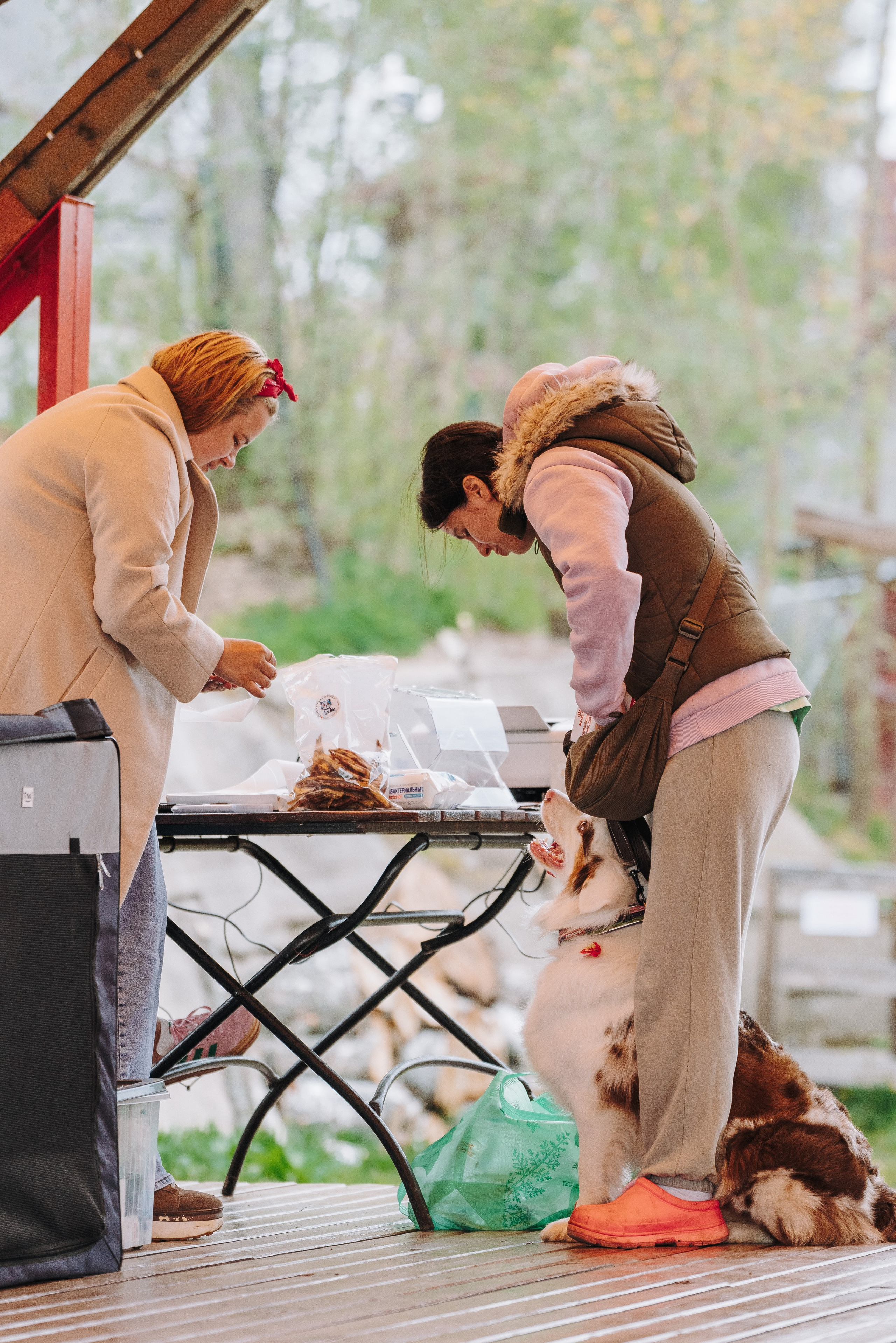 Соревнования по ноузворку в Лосево. Фотограф анималист в Спб недорого Олеся Майорова