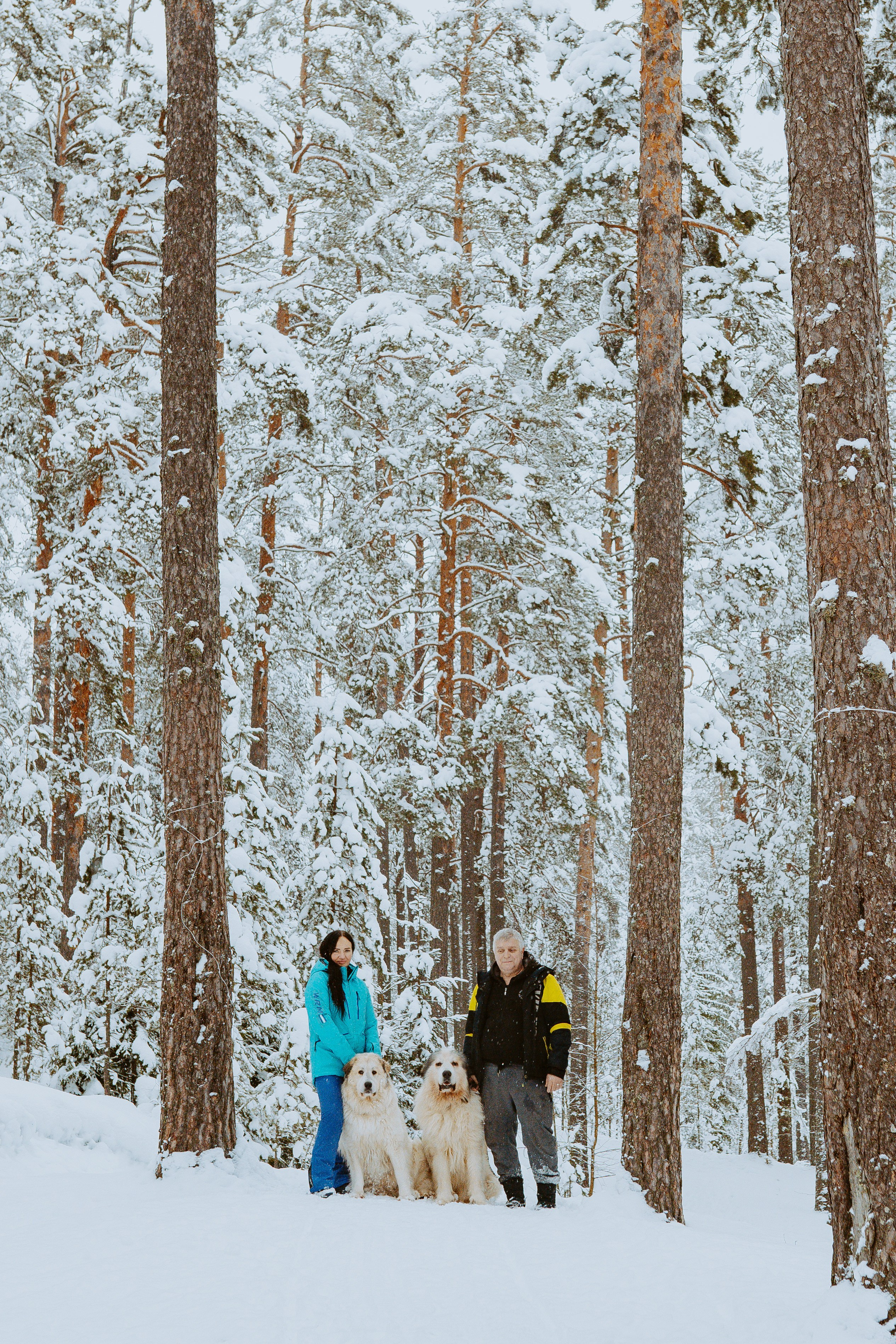 Фотограф питомцев в Санкт-Петербурге. Фотограф анималист в Спб недорого Олеся Майорова