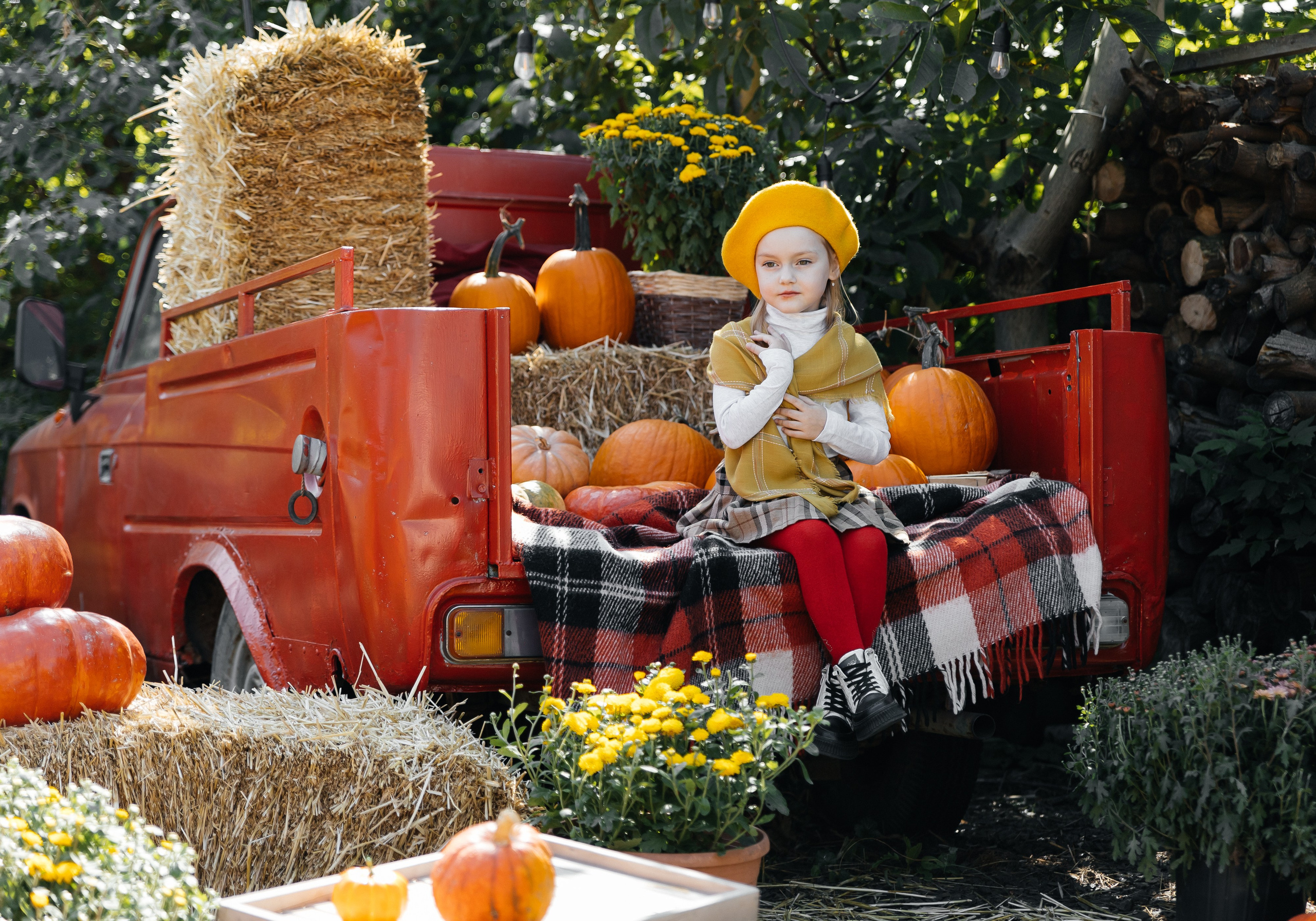 Вероника. Коммерческий фотограф в Ростове-на- Дону Марина Петрова