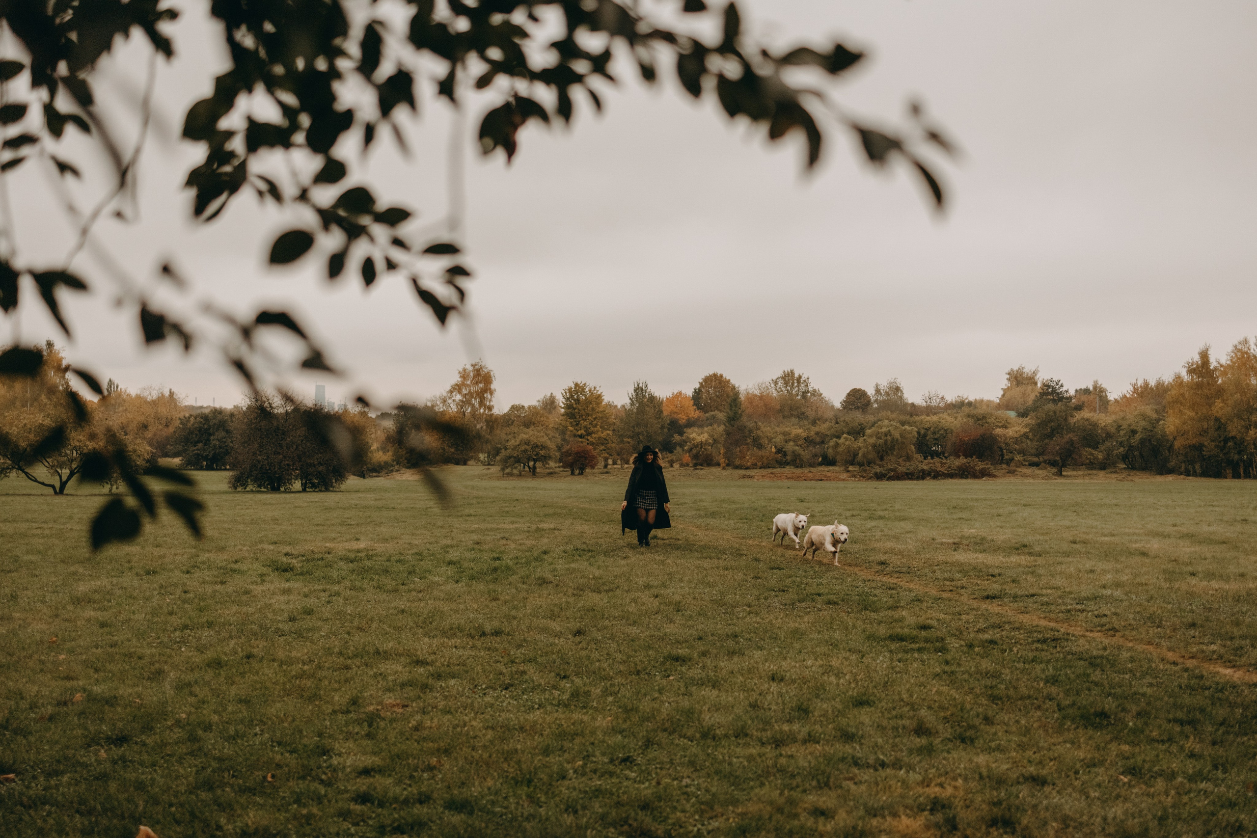 Женя и ее девочки. Фотограф — Анималист | Санкт-Петербург