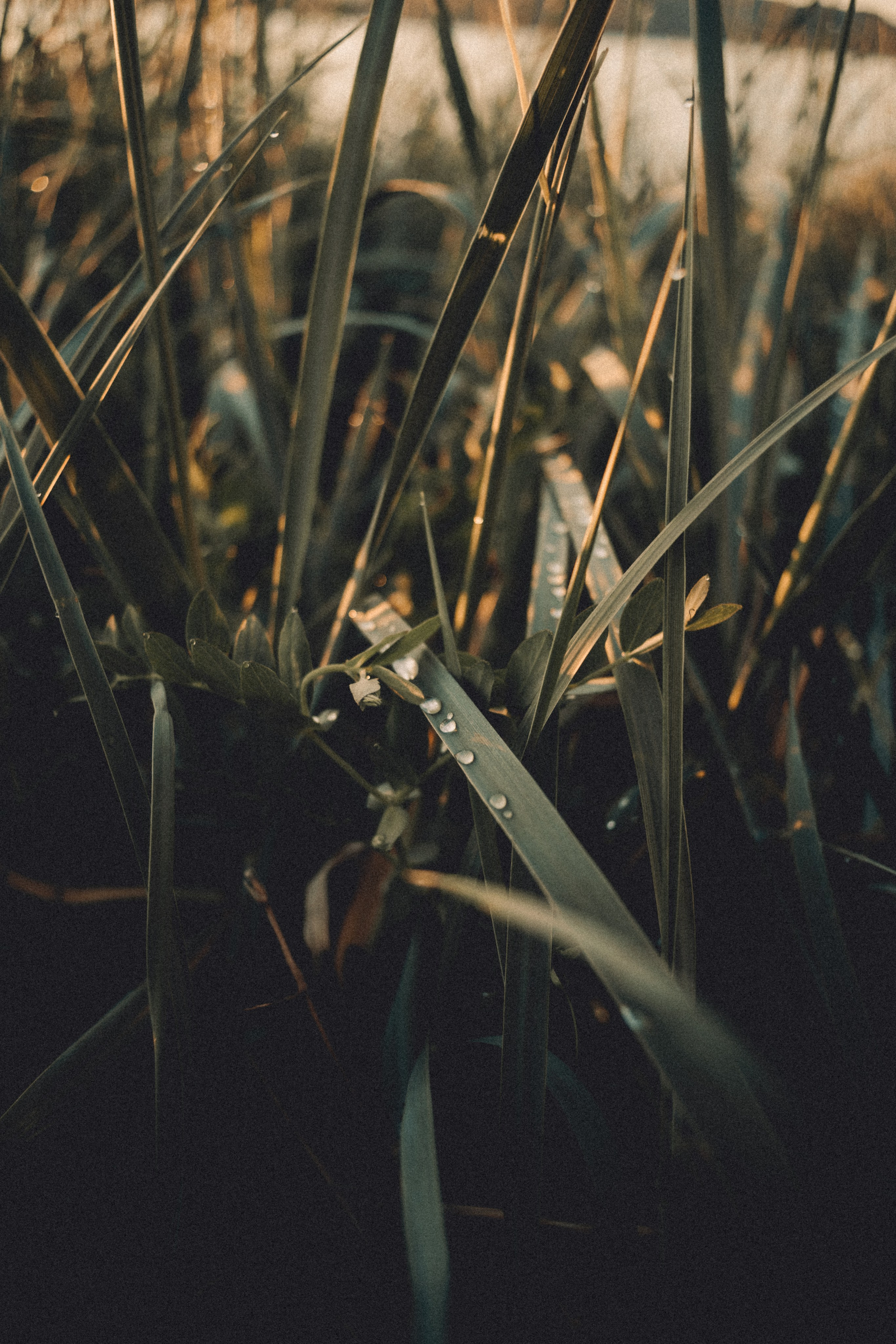 Териберка, Мурманск. Фотосъёмка для компании по организации туров в коллаборации с Яндекс 360