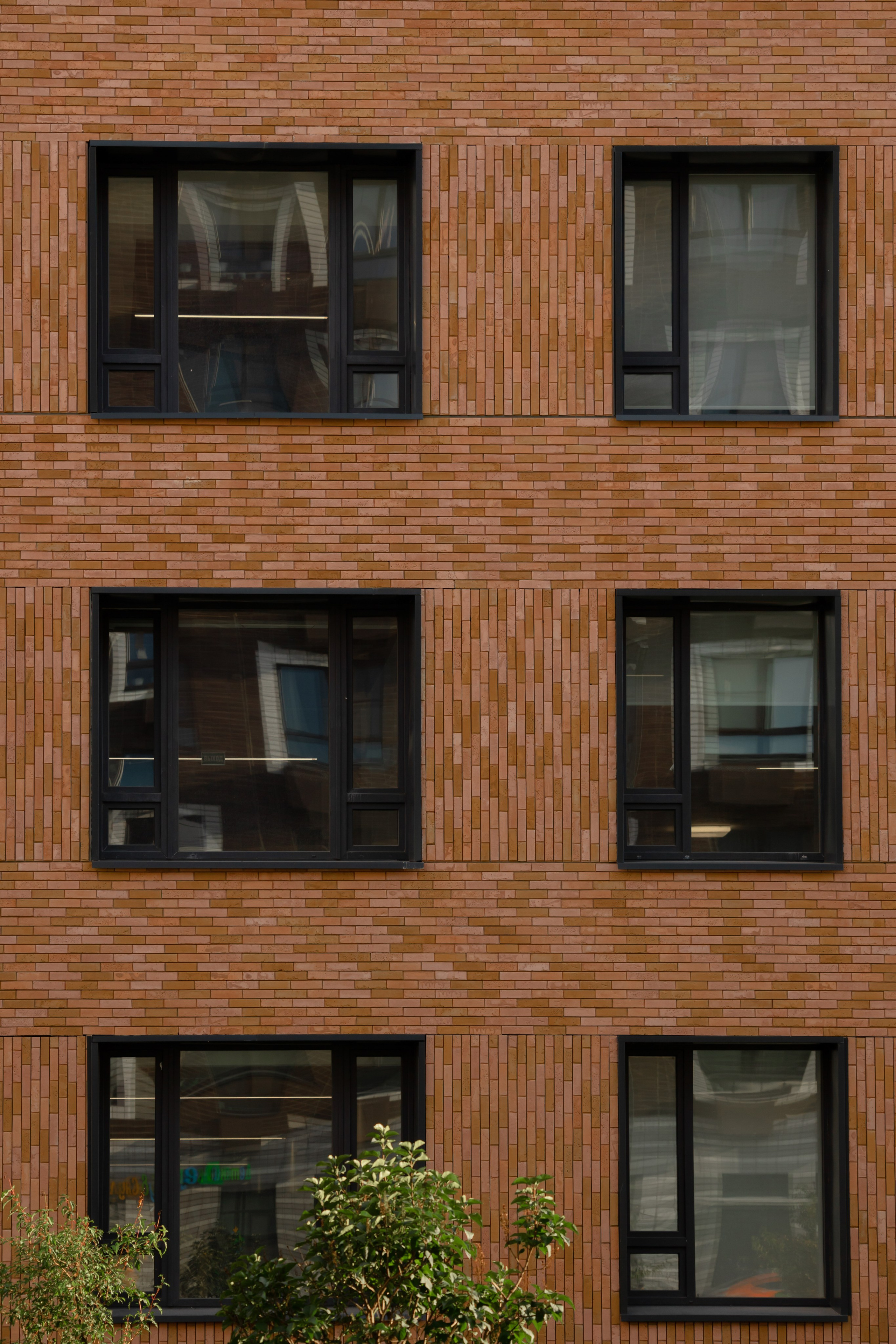 СОШ — КРАСНОГОРСК. АЛТ Портфолио