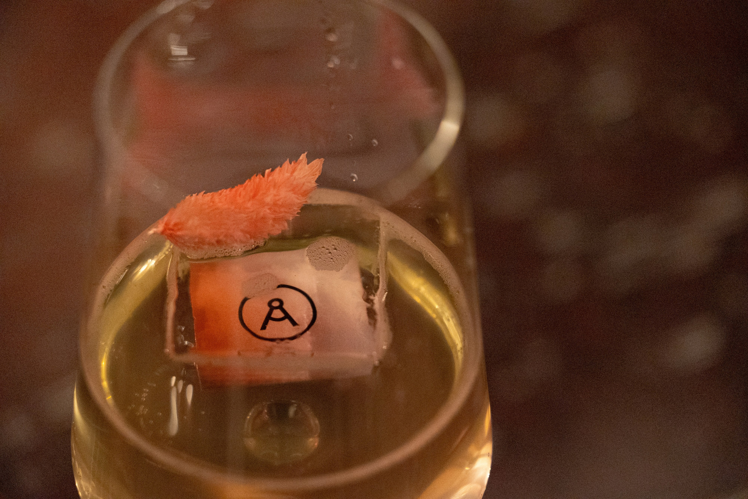 Taglex. Radisson collection hotel Moscow. Фотограф Москва Людмила Белова