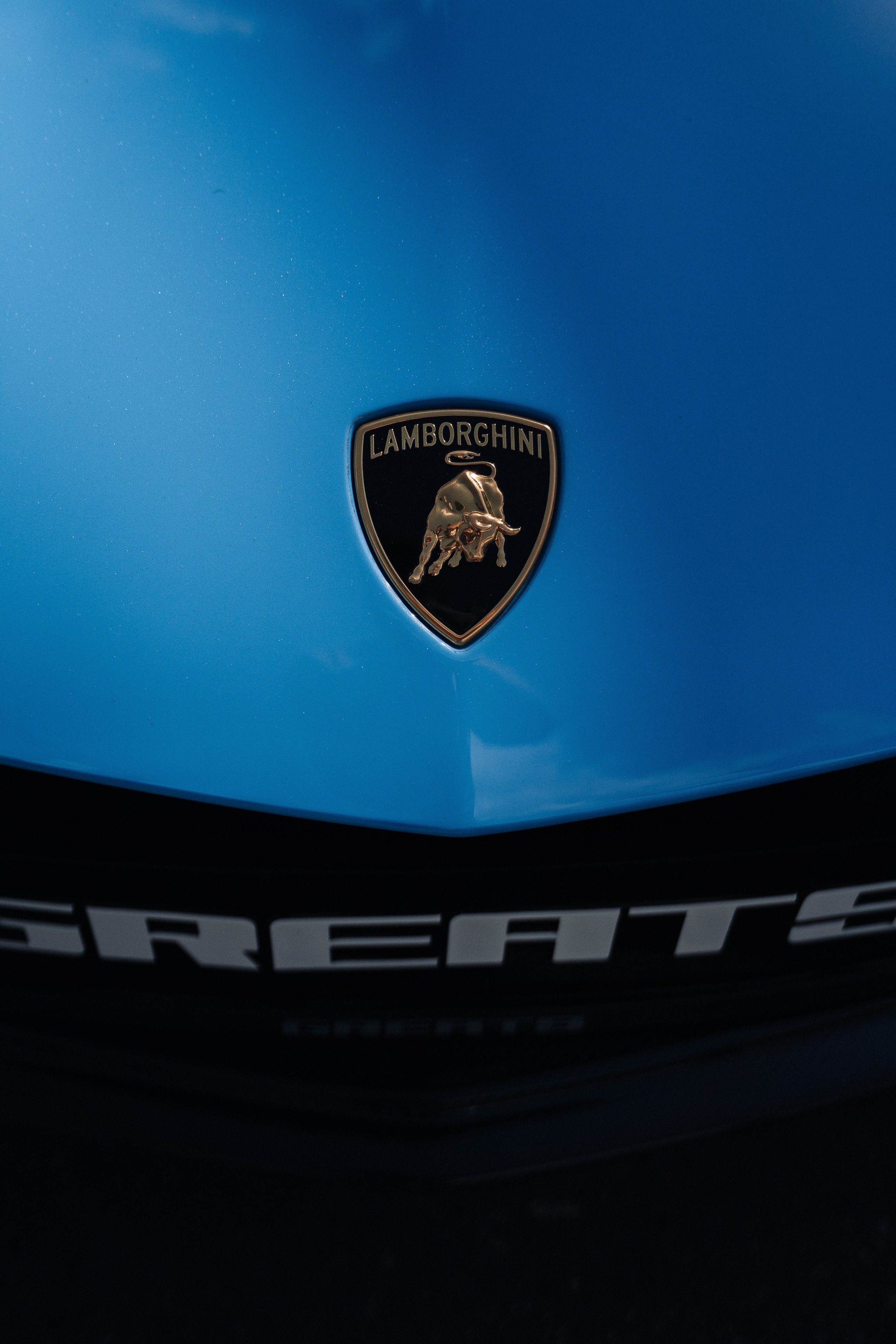 Магия Востока в Emerald Stables. Свадебный и семейный фотограф в Москве и МО Геннадий Туманцев