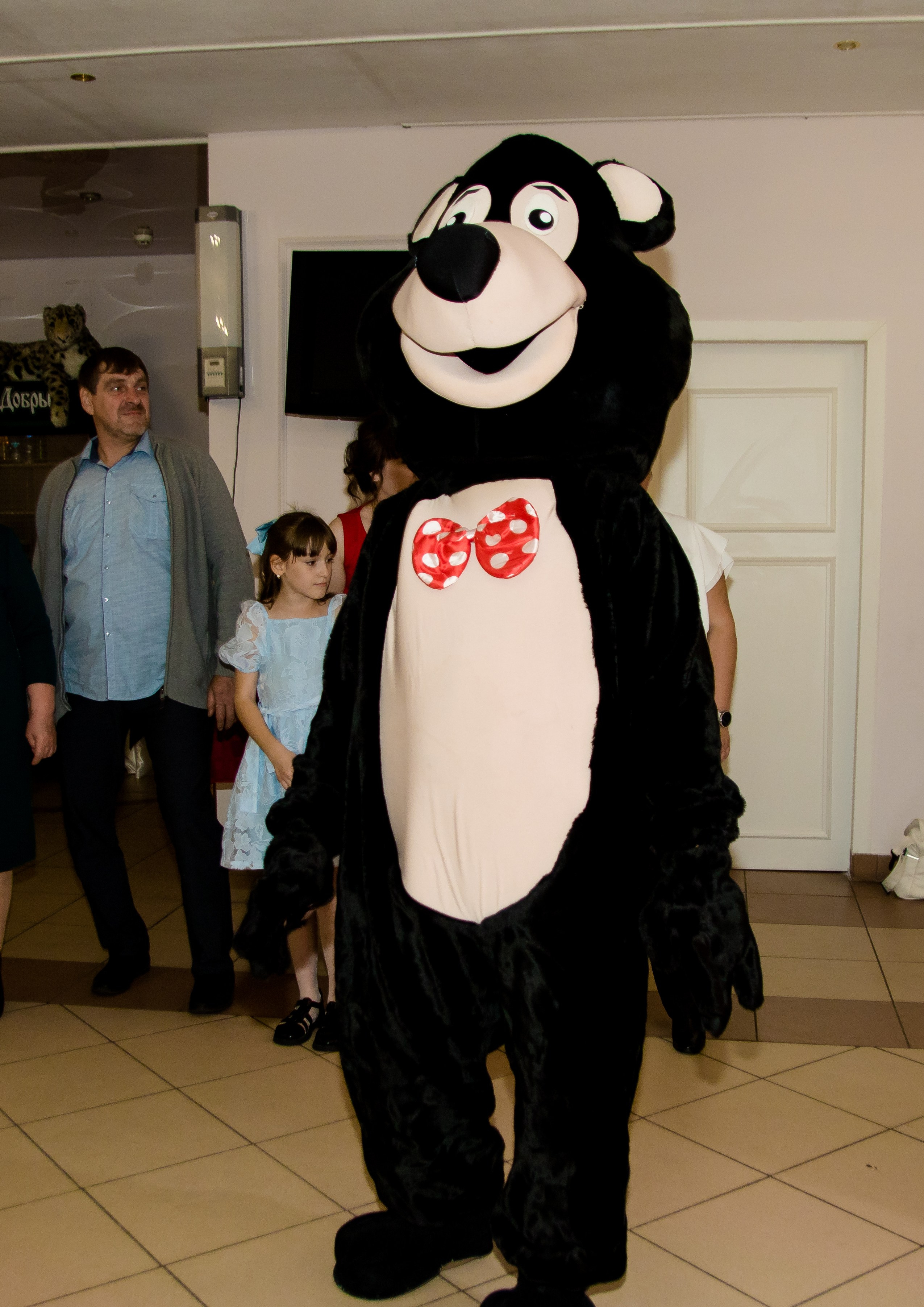 Эксперсс поздравление.ростовые куклы, медведь, панда, горилла. Организатор праздников. Ведущая Марина Гребенникова