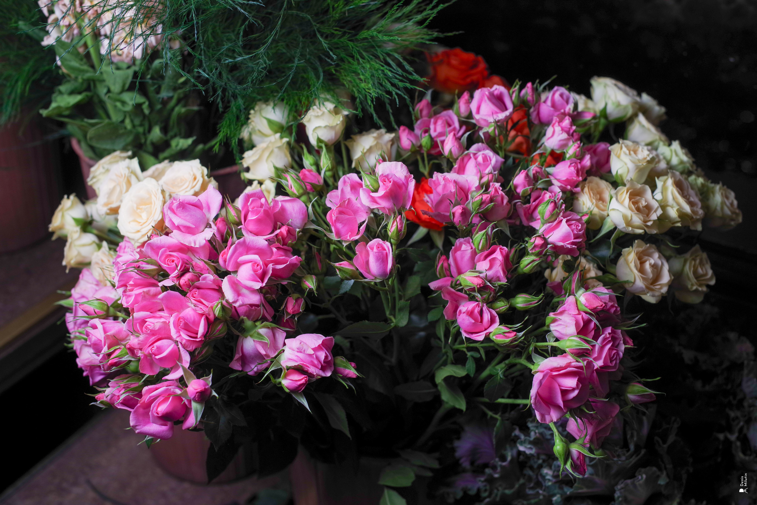 Салон цветов. Портретный фотограф Денис Милютин