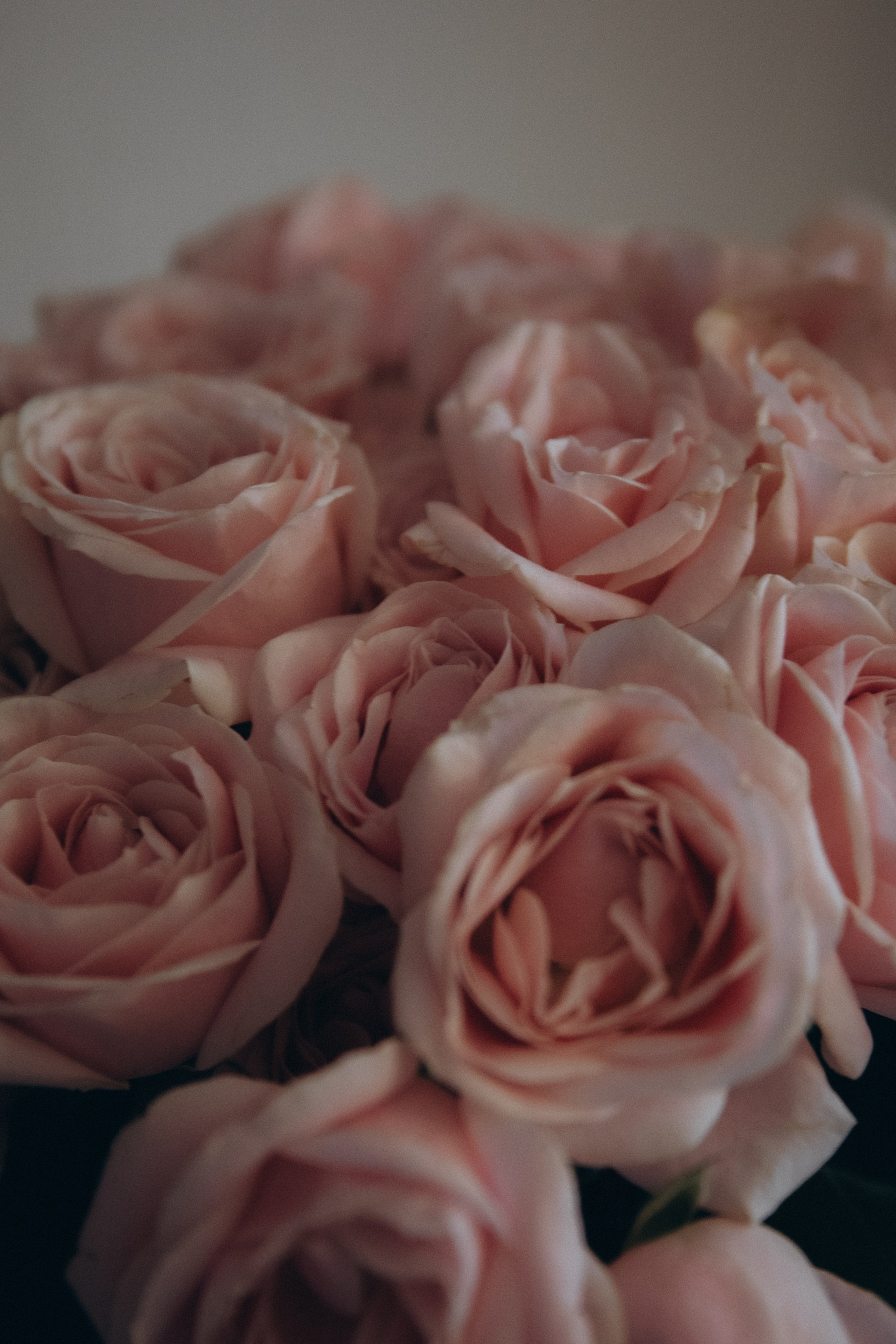 Мы дома. Фотограф  Челябинск Варвара Шарапова