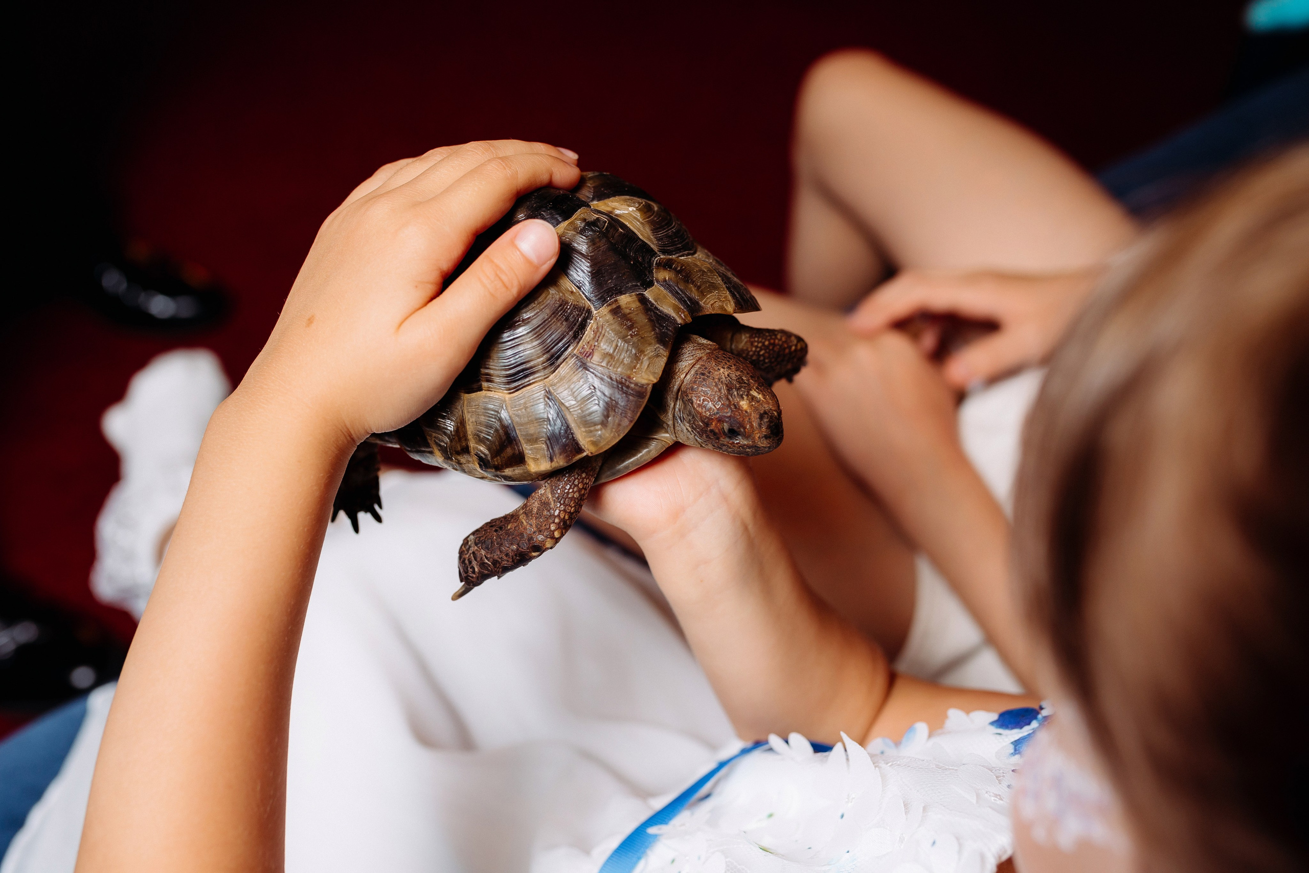 Дни Рождения. Фотограф в Санкт-Петербурге Кирюшенков Андрей