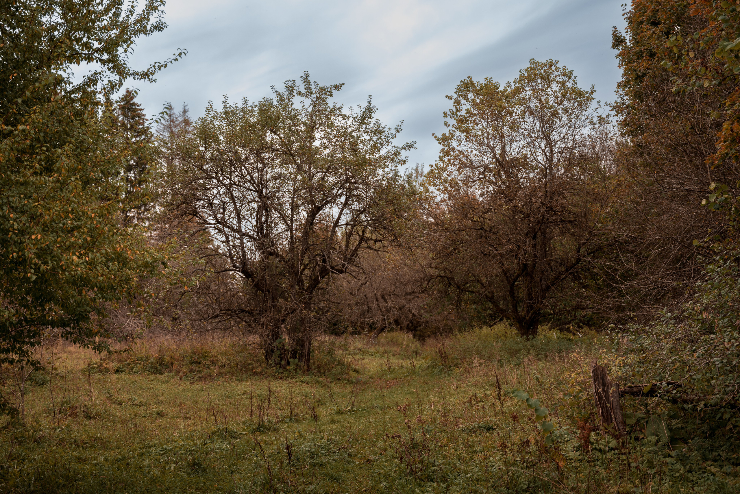 Места. Фотограф в Минске Дарья Кончакова