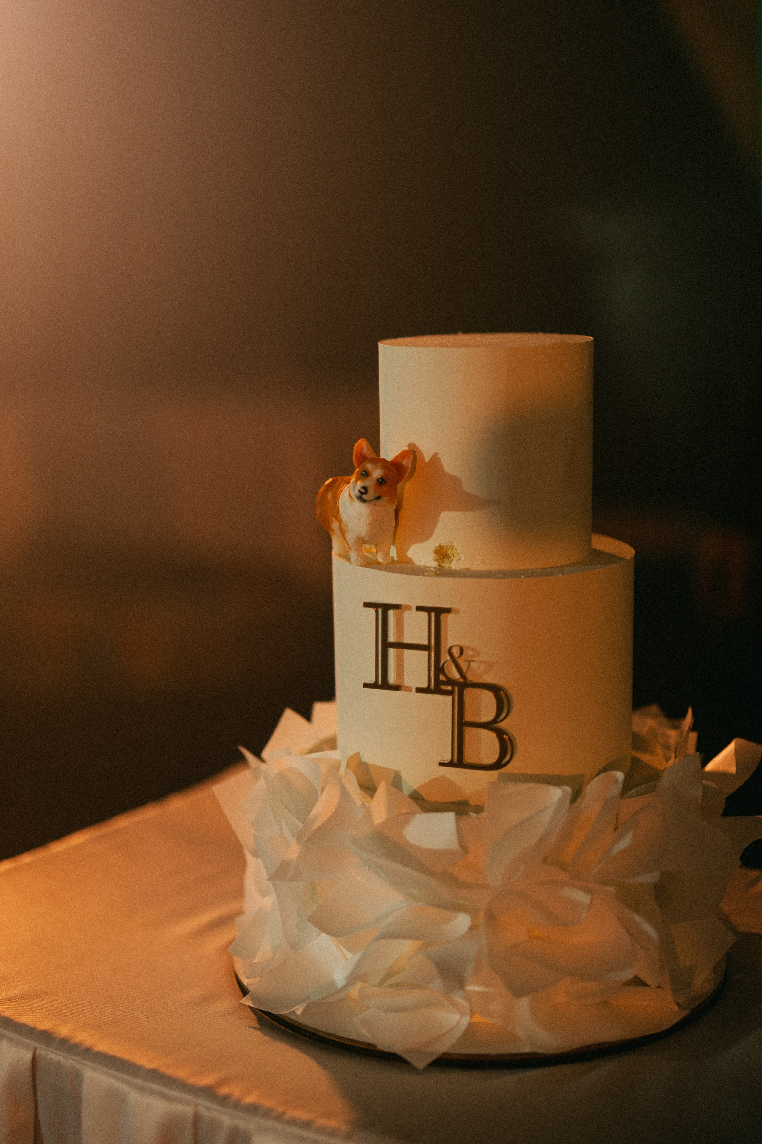 Lera x Nikita. Daria Chigintseva Photographer