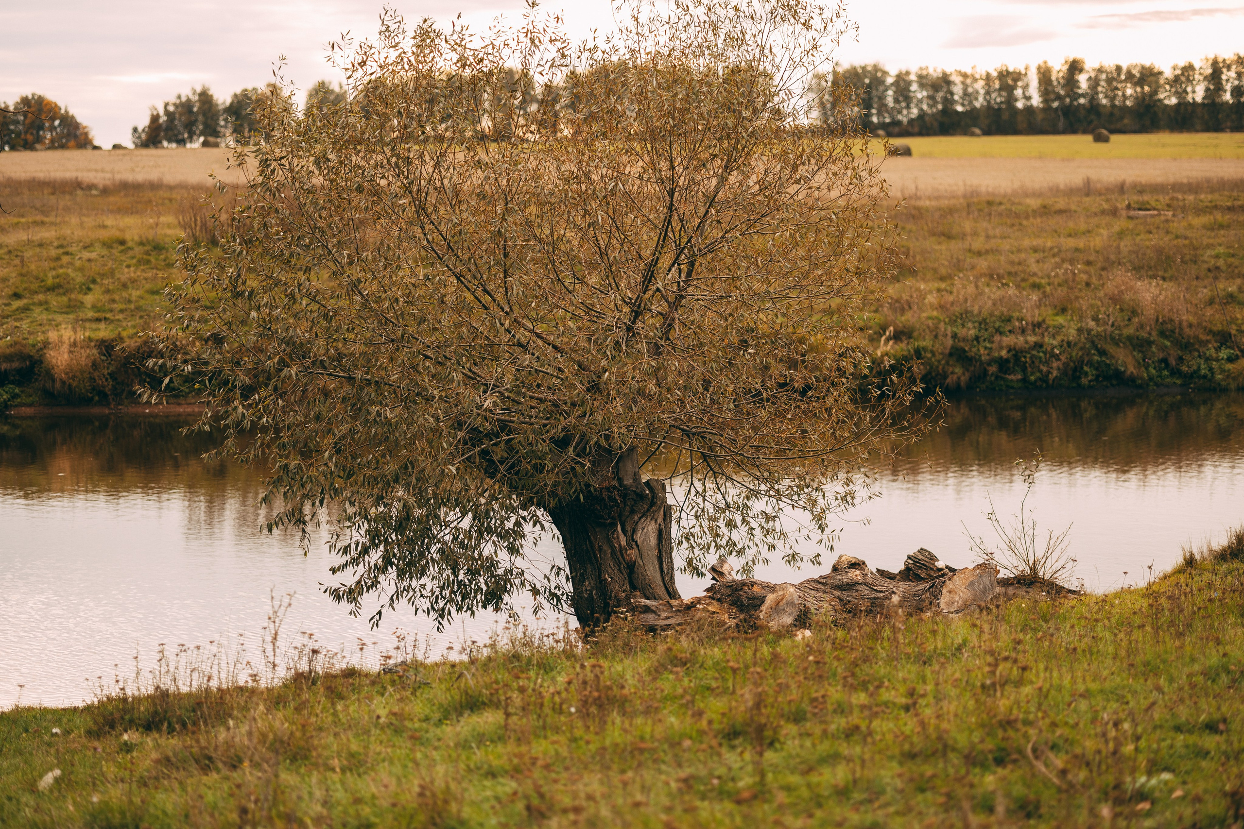 Дарина и Максим. Фотограф Юлия Хакимова / Казань/ Чистополь