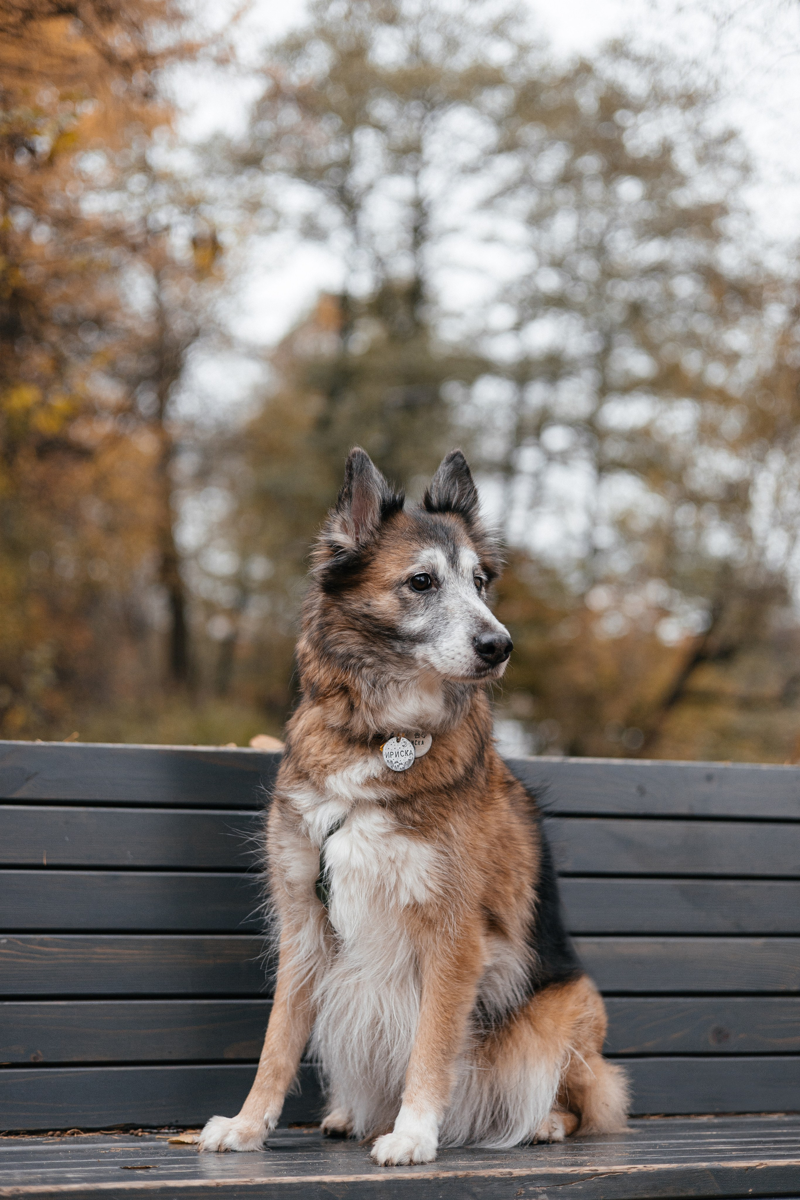 Аня и Ириска. Фотограф Анна Луценко Москва