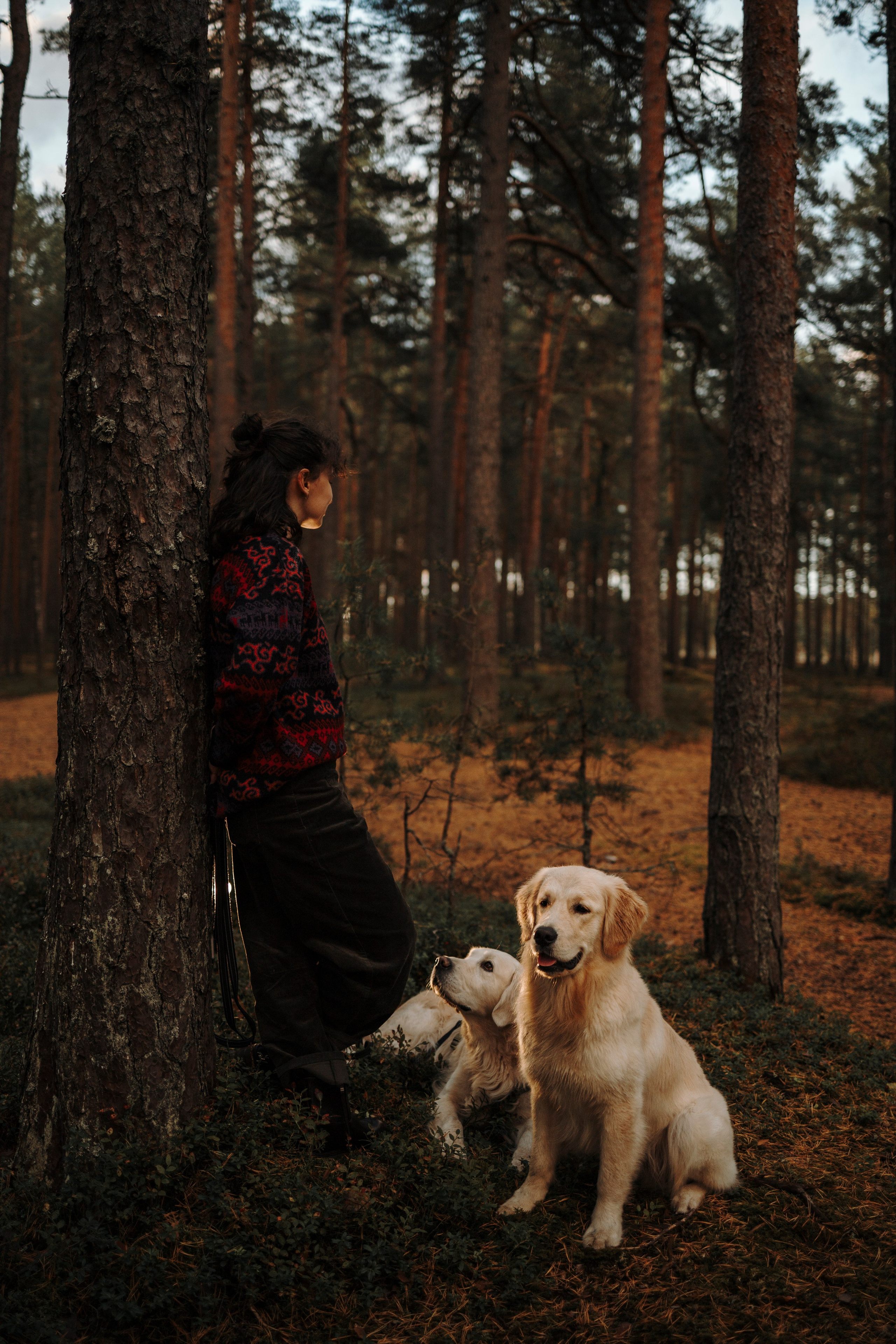 Прогулка Насти с Арчи и Арагоном. Фотограф-анималист в Санкт-Петеребурге Титова Алиса