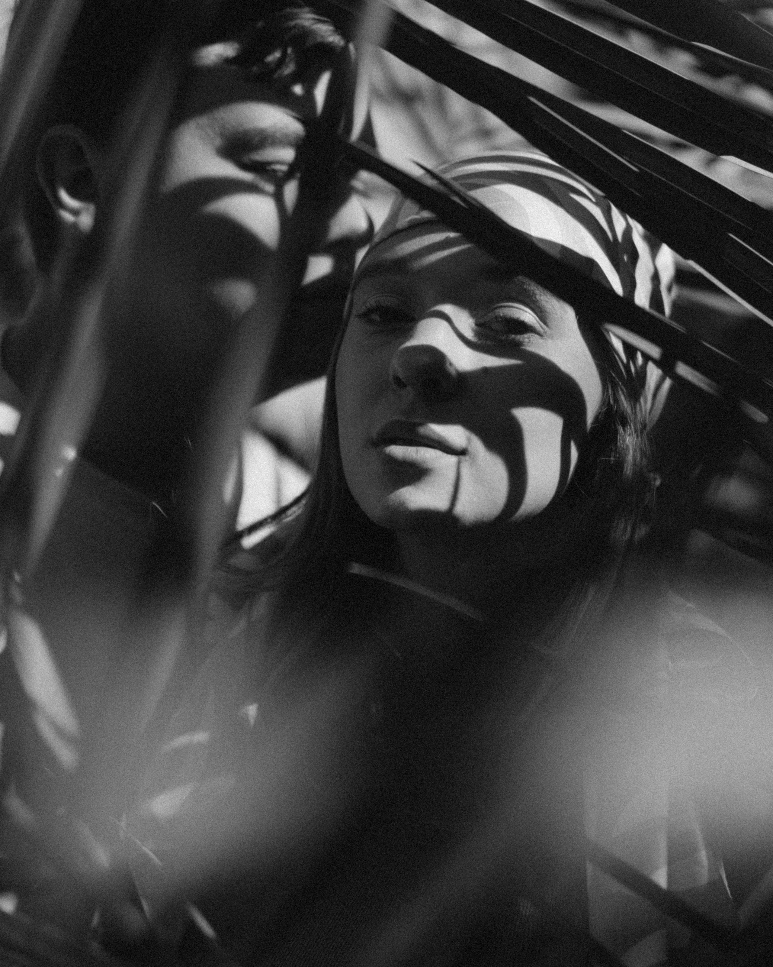 Арабика. Никита Погосов