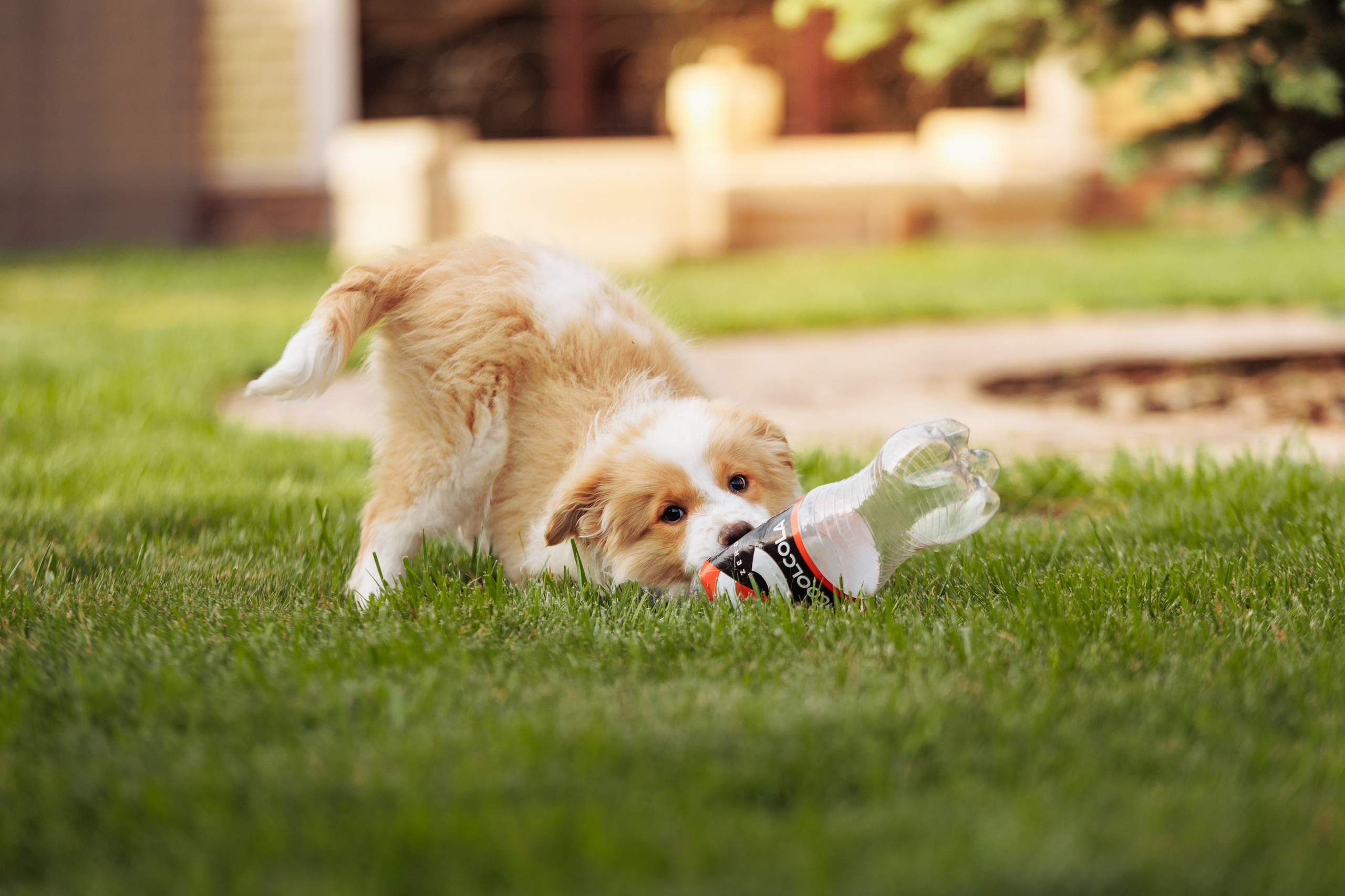 СОлнечные. О нас