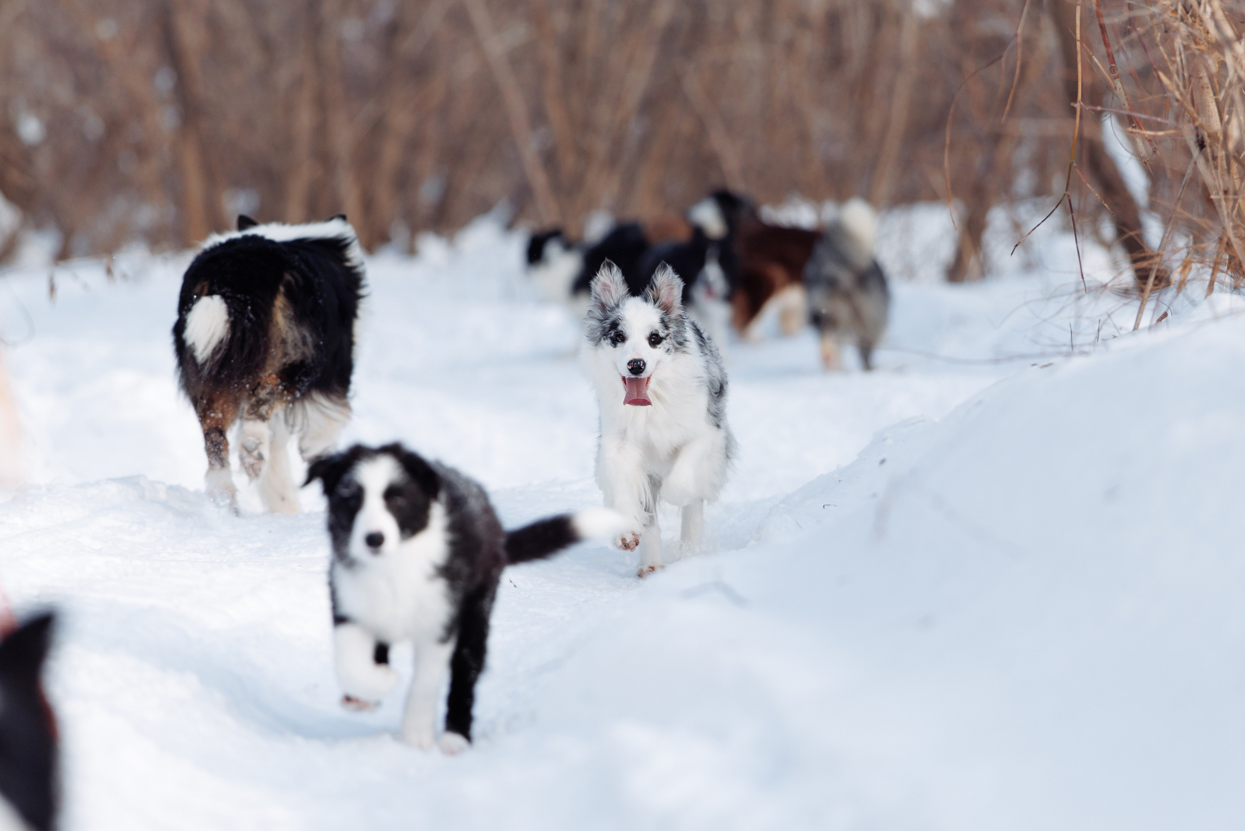 Яркий январь. О нас