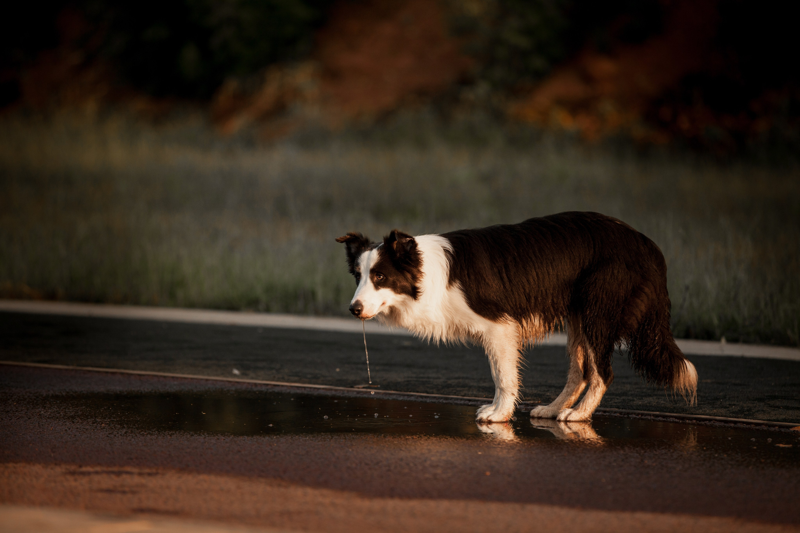 Сочный рассвет, на который решились. О нас