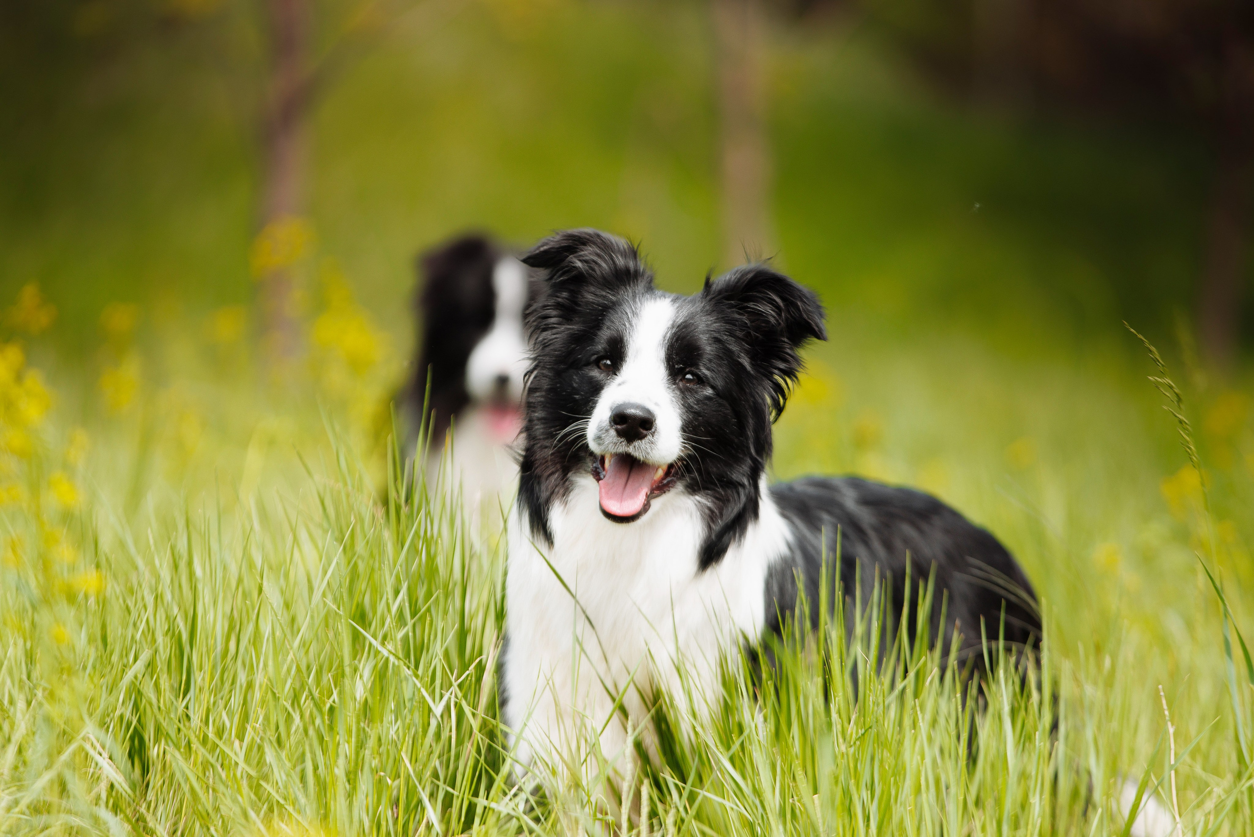 Ryzhaya Molniya Easy — Изи. О нас