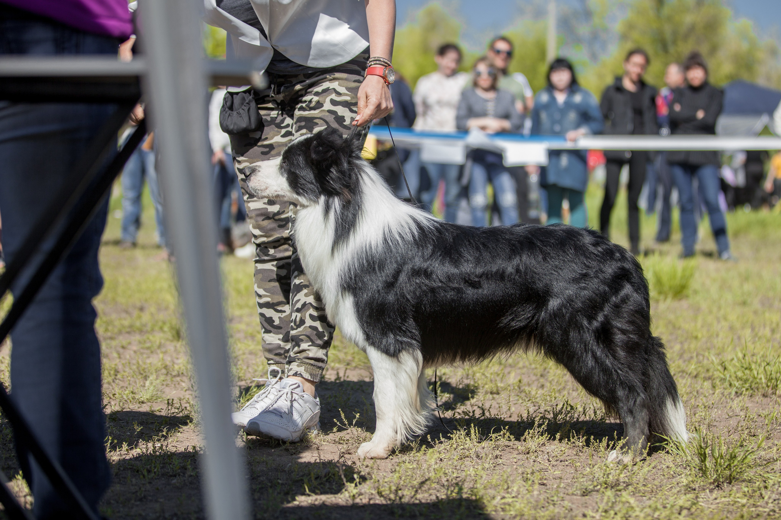 Орск 19. О нас