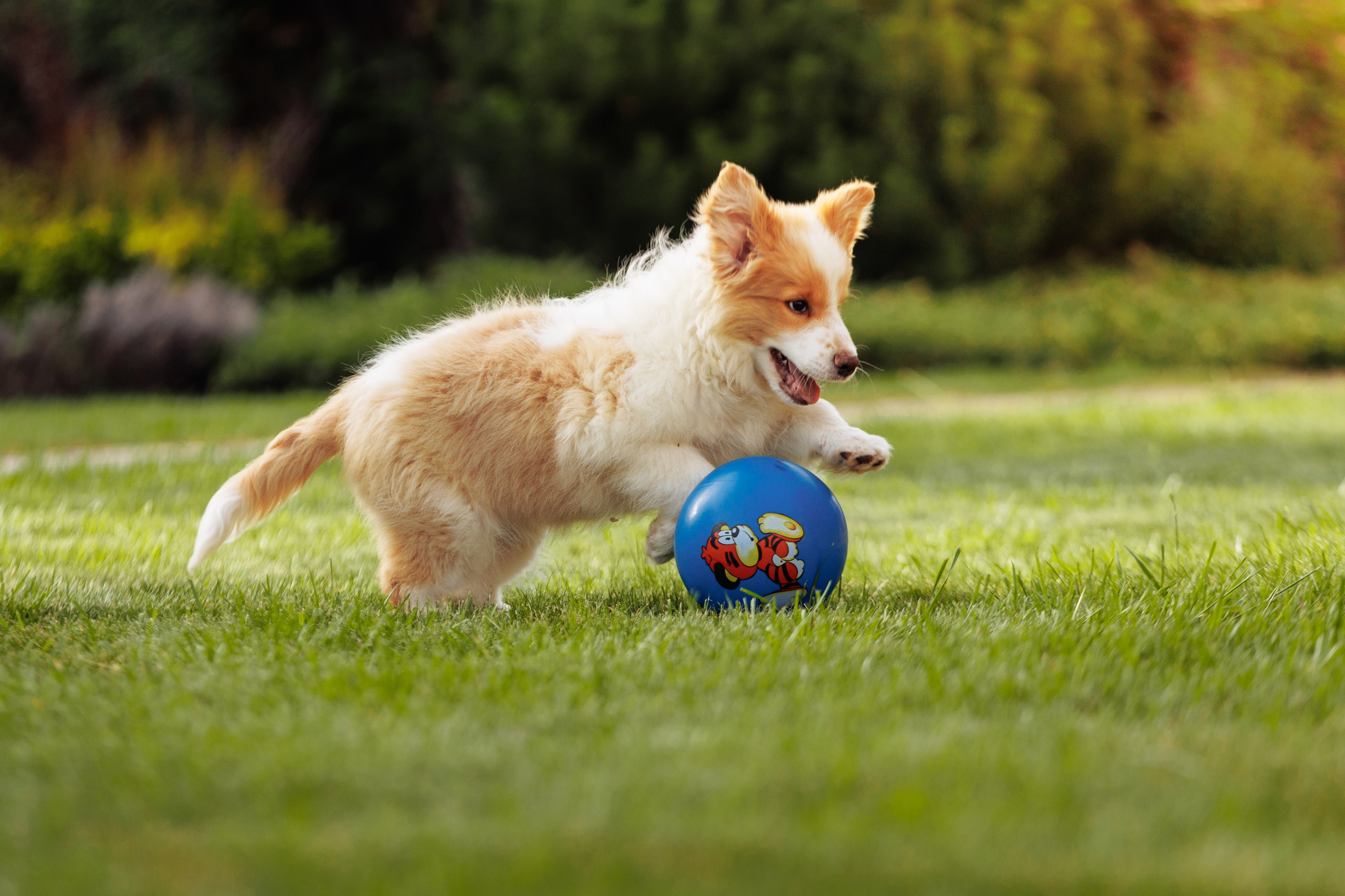 СОлнечные. О нас