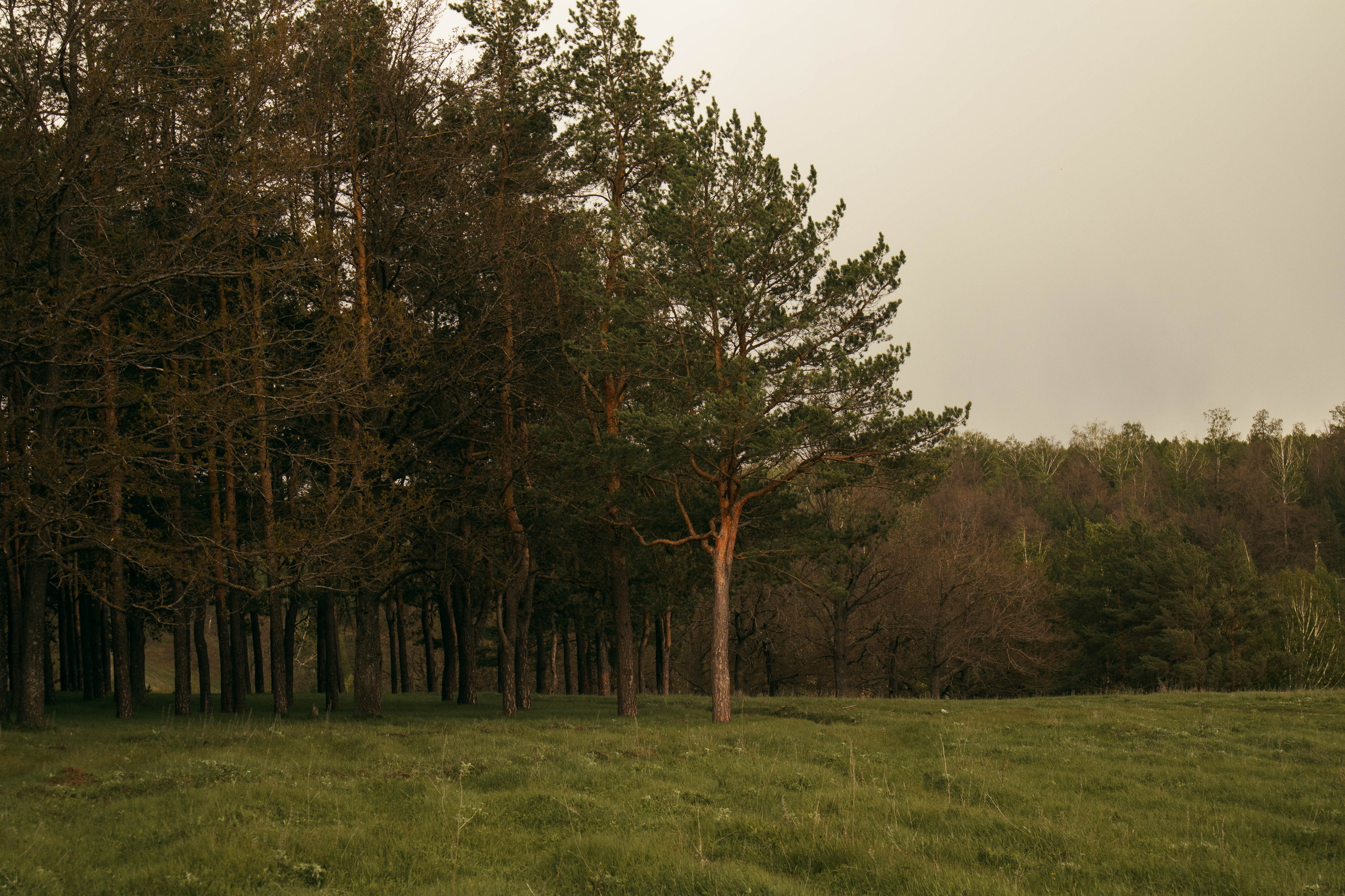 Сокольская гора. Фотограф и видеограф в Бугульме Аня Трутнева