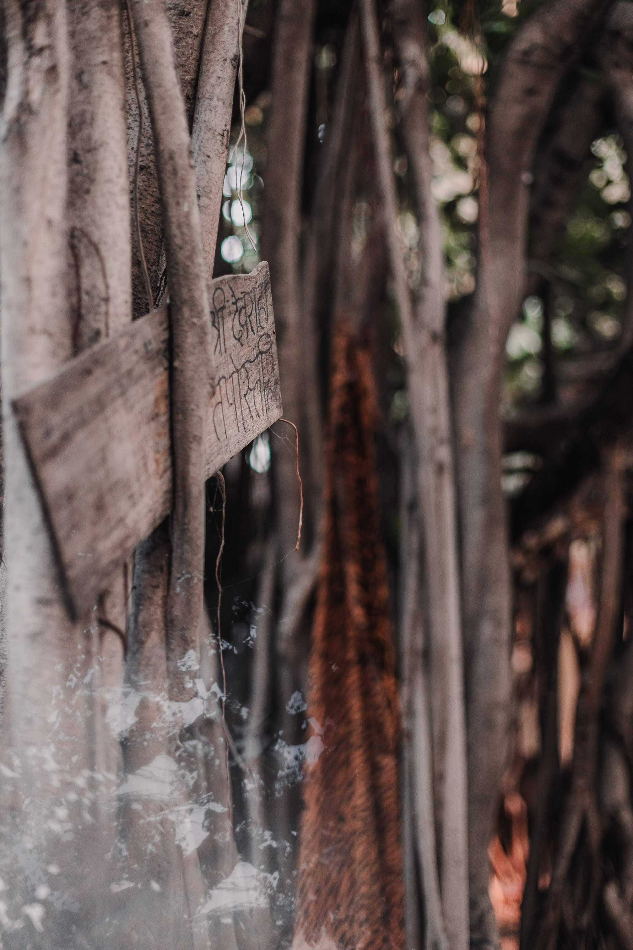 Devraha Baba Ji Ashram in Vrindavan. Мариам Багдасарян