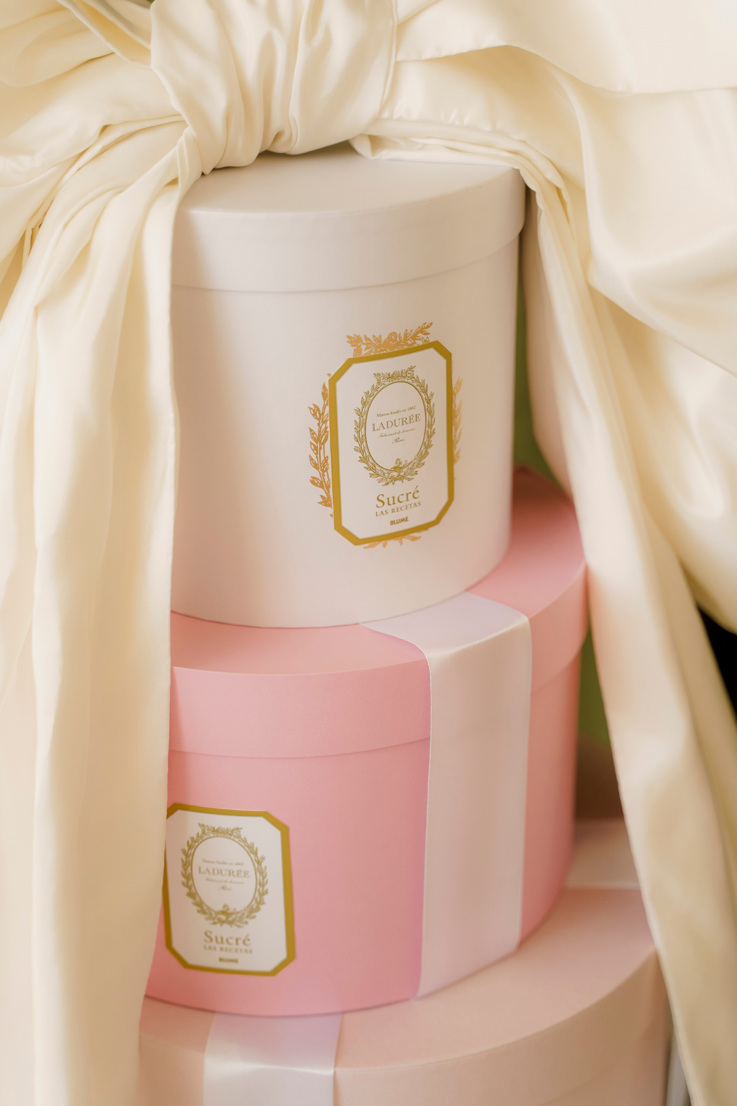 GREEN HALL. Детский семейный фотограф Краснодар