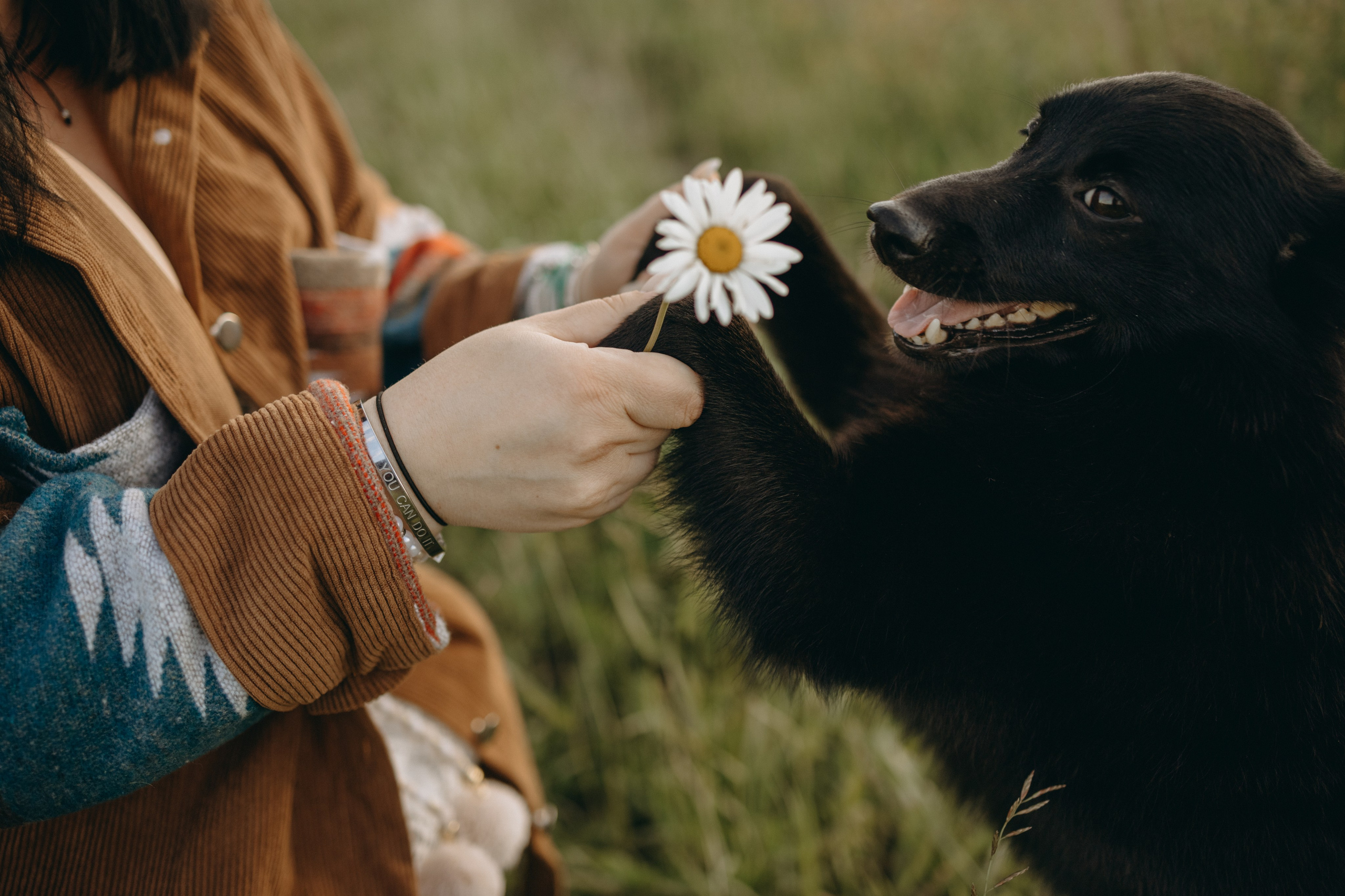 Анна и Максимус. Фотограф — Анималист | Санкт-Петербург