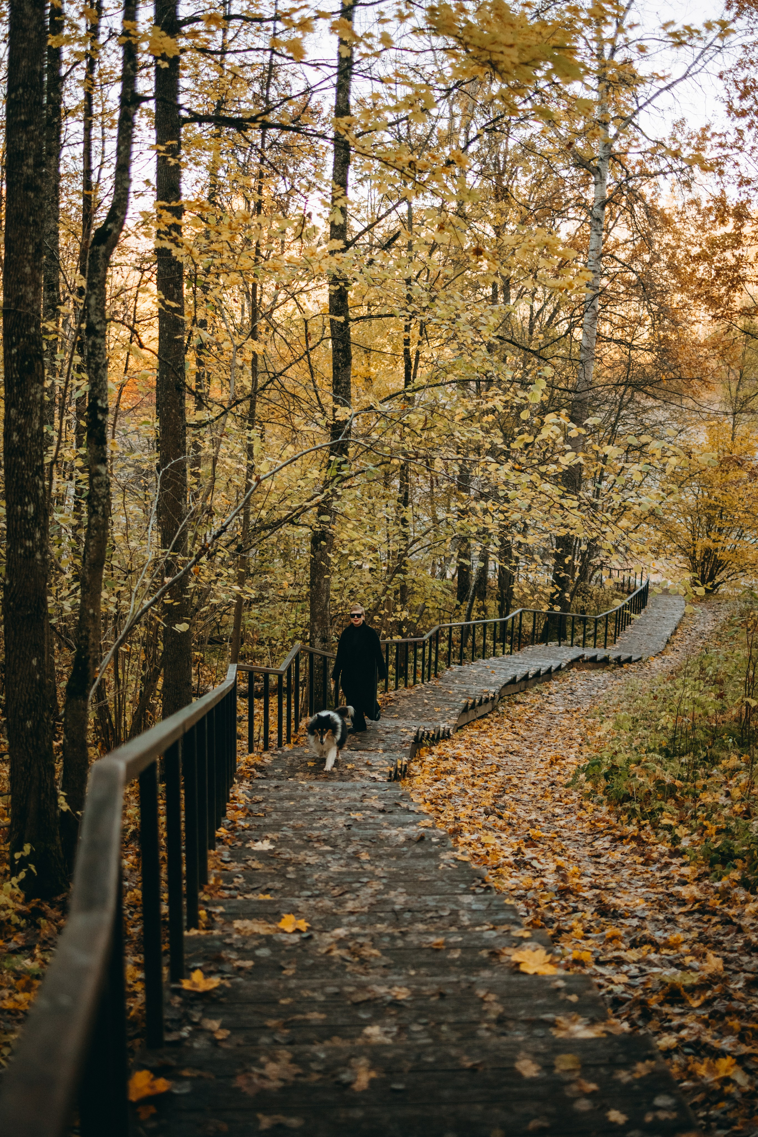 Ия и Барт. Фотограф — Анималист | Санкт-Петербург