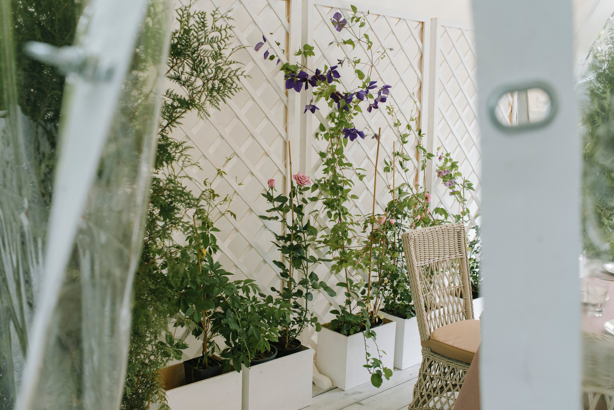 Ресторан Причал. Оформление свадеб, декор свадеб Вера Маркова, Москва