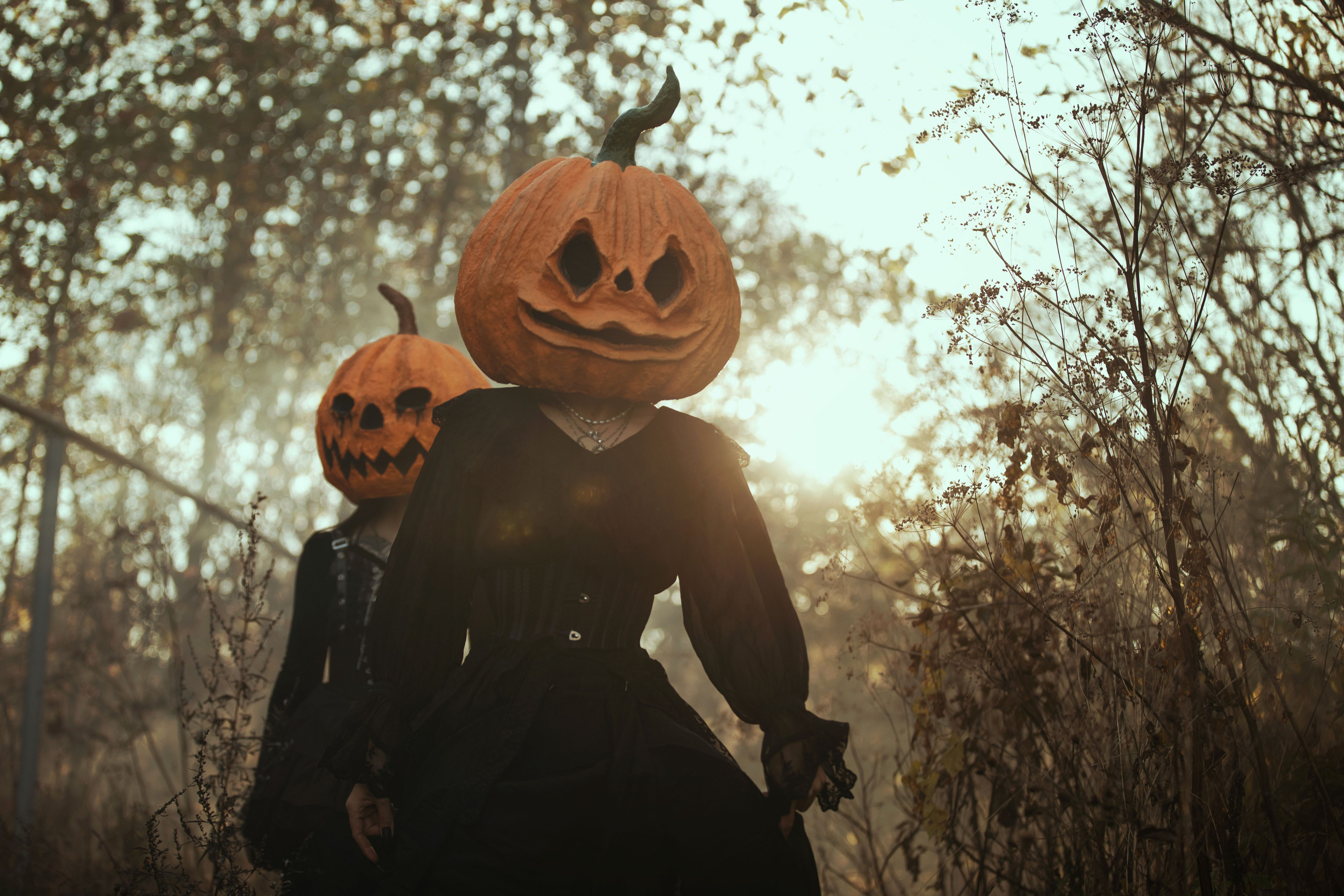 Тыквенный спас. Фотохудожник из города Пскова