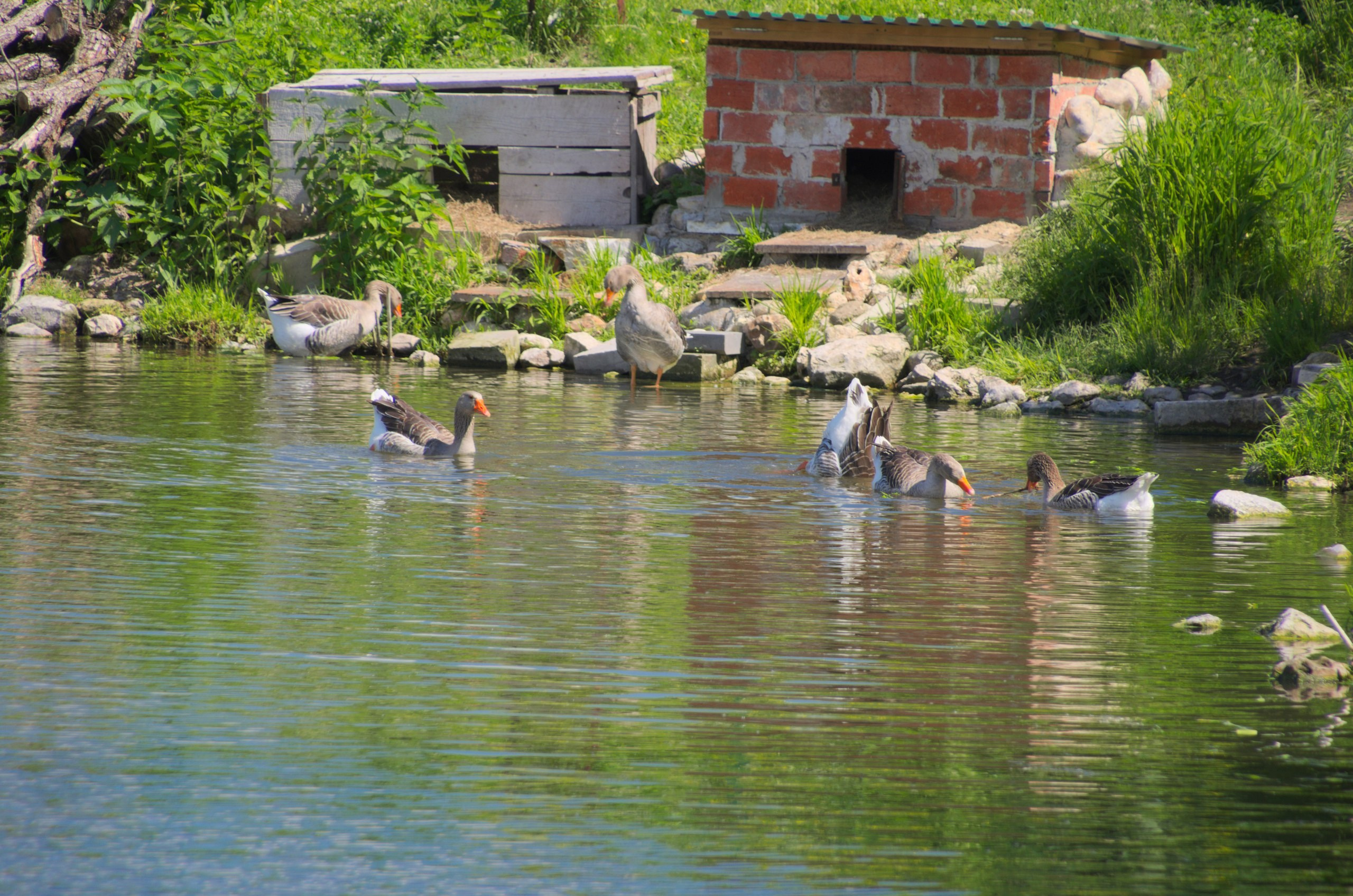 Таруса+Серпухов | 18.06.2017. Галерея Фантим