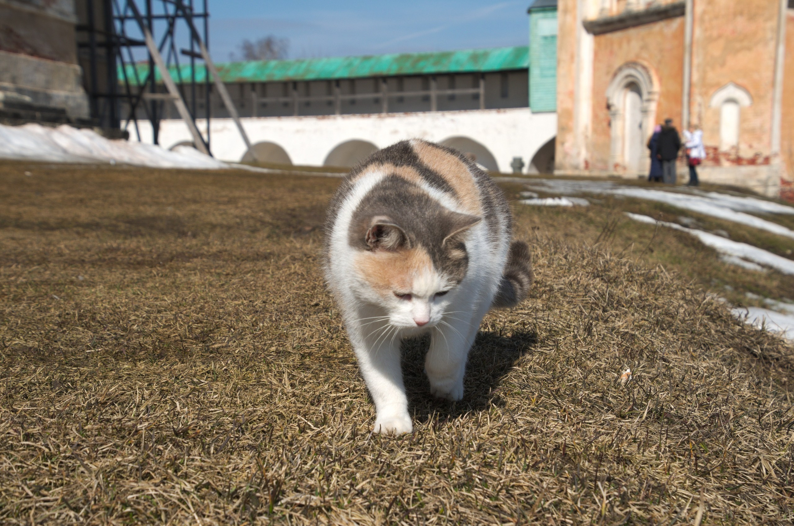 Поездка в Тверь и Торжок | 30-31.03.2019. Галерея Фантим