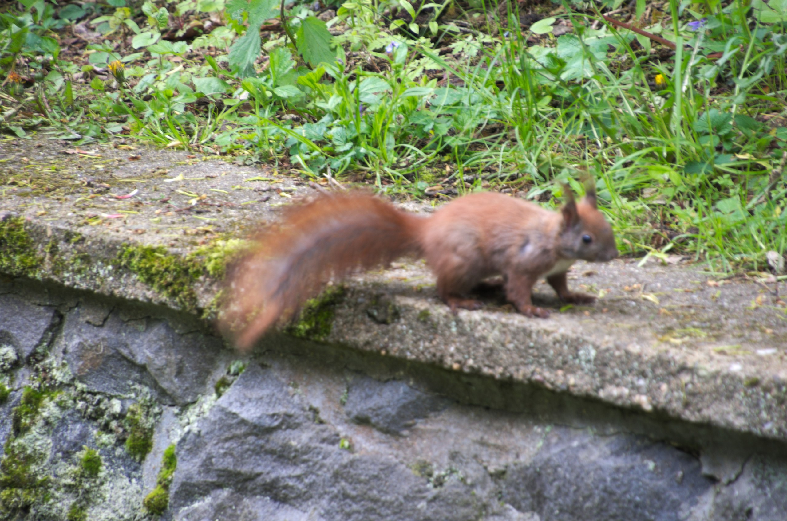 Чехия | 06-09.05.2017. Галерея Фантим