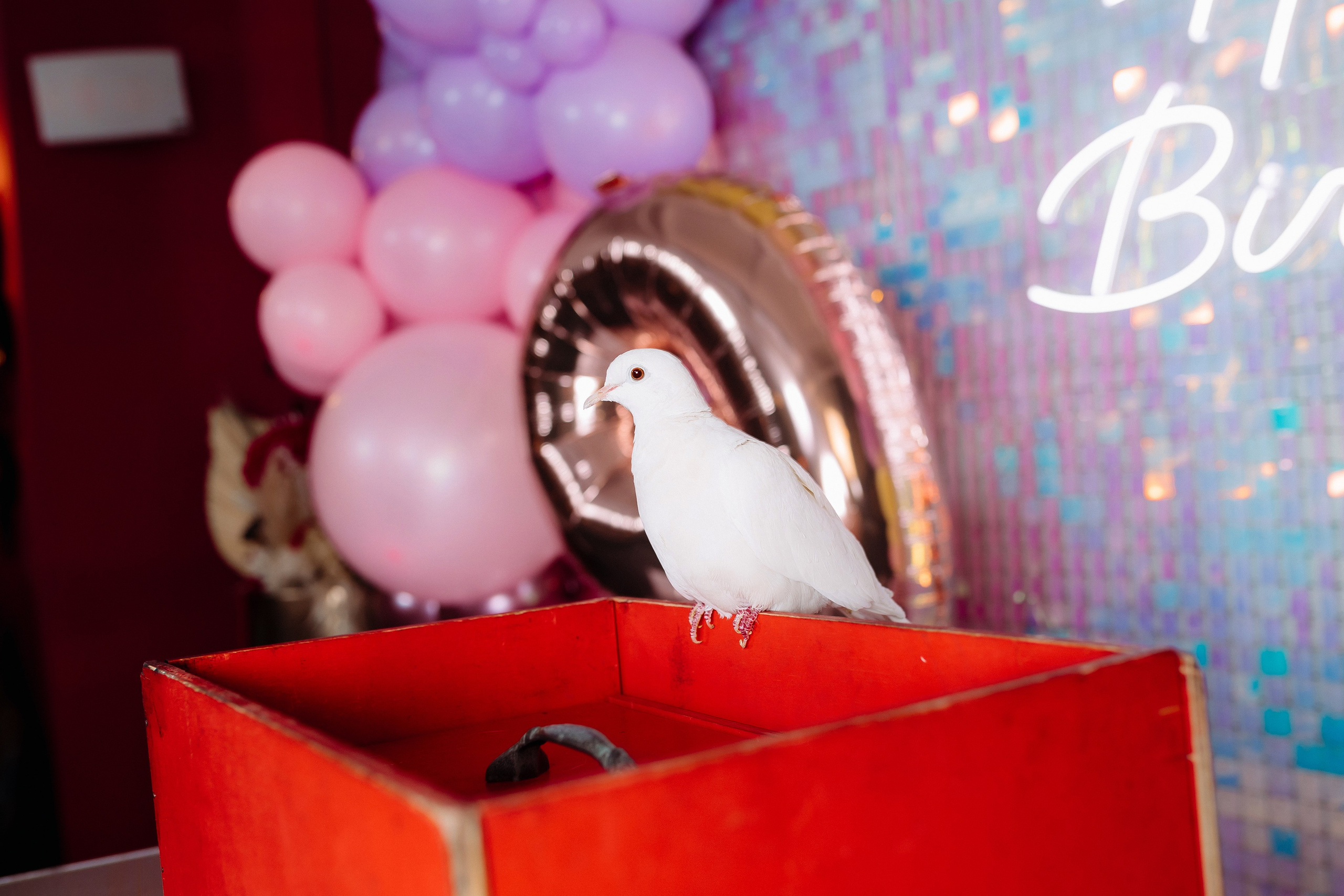 Дни Рождения. Фотограф в Санкт-Петербурге Кирюшенков Андрей