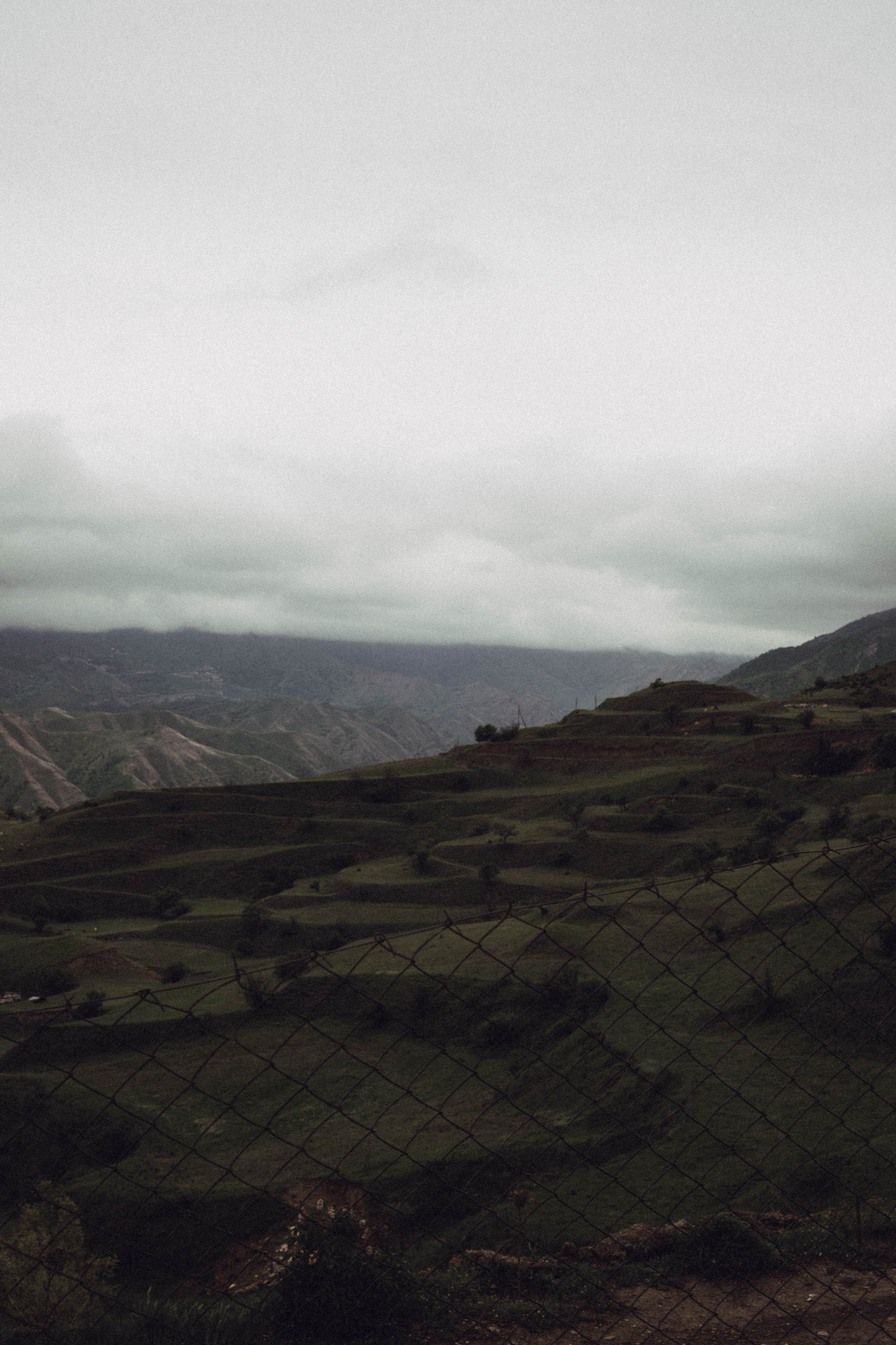 Кавказ. Профессиональный фотограф, Санкт-Петербург — Виктория Богомолова